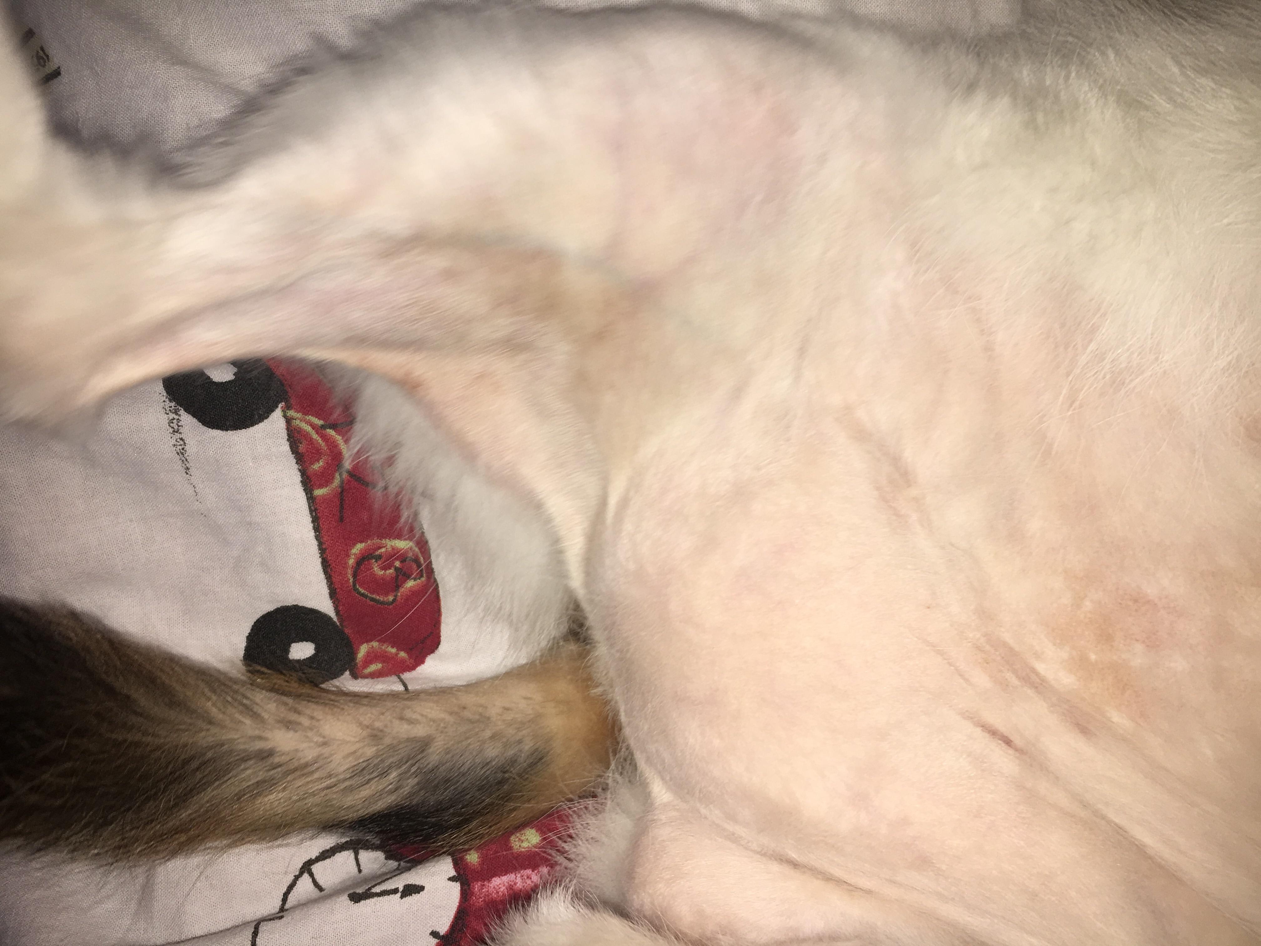 Question details sensitive content