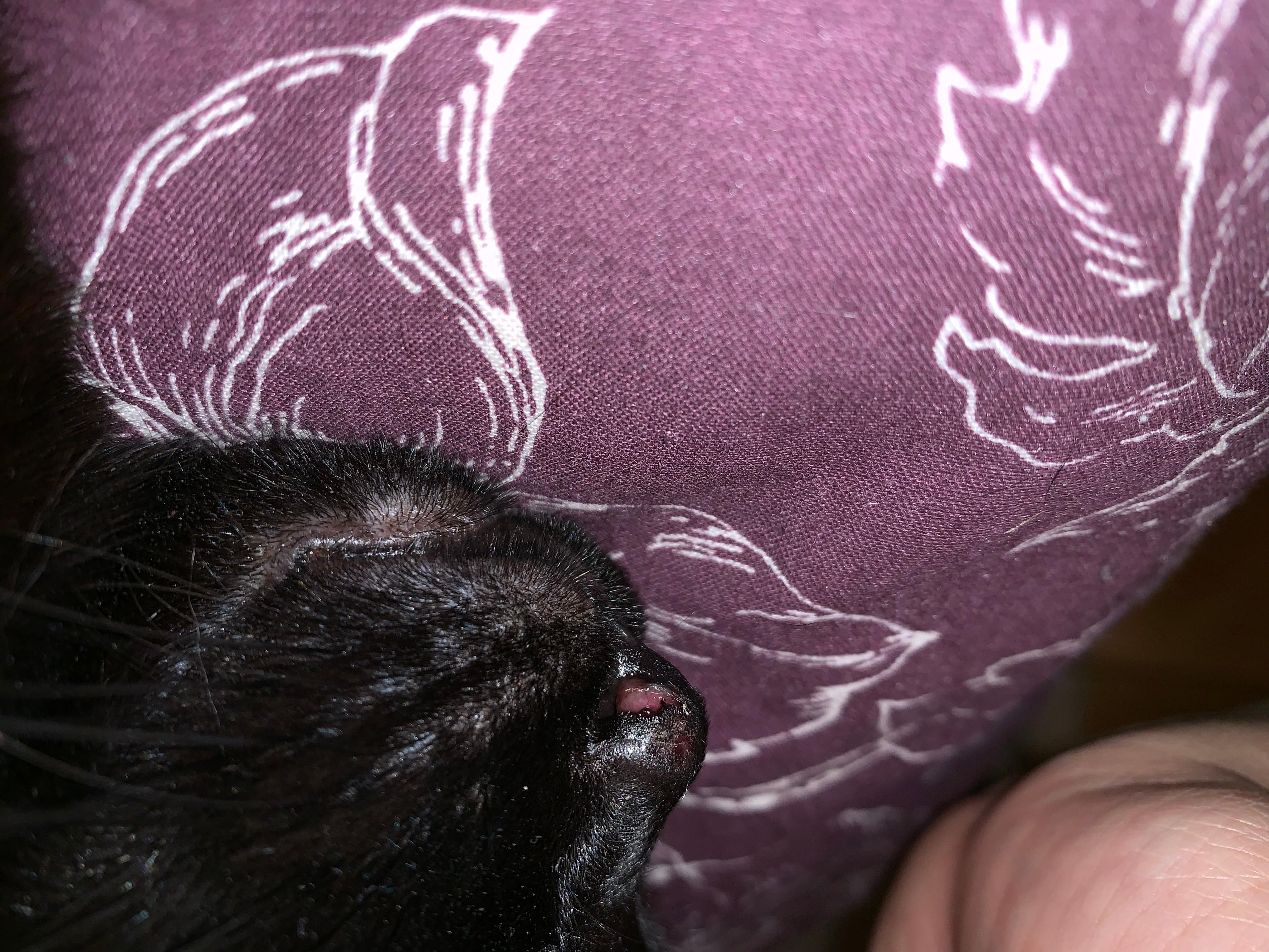 Question details sensitive content