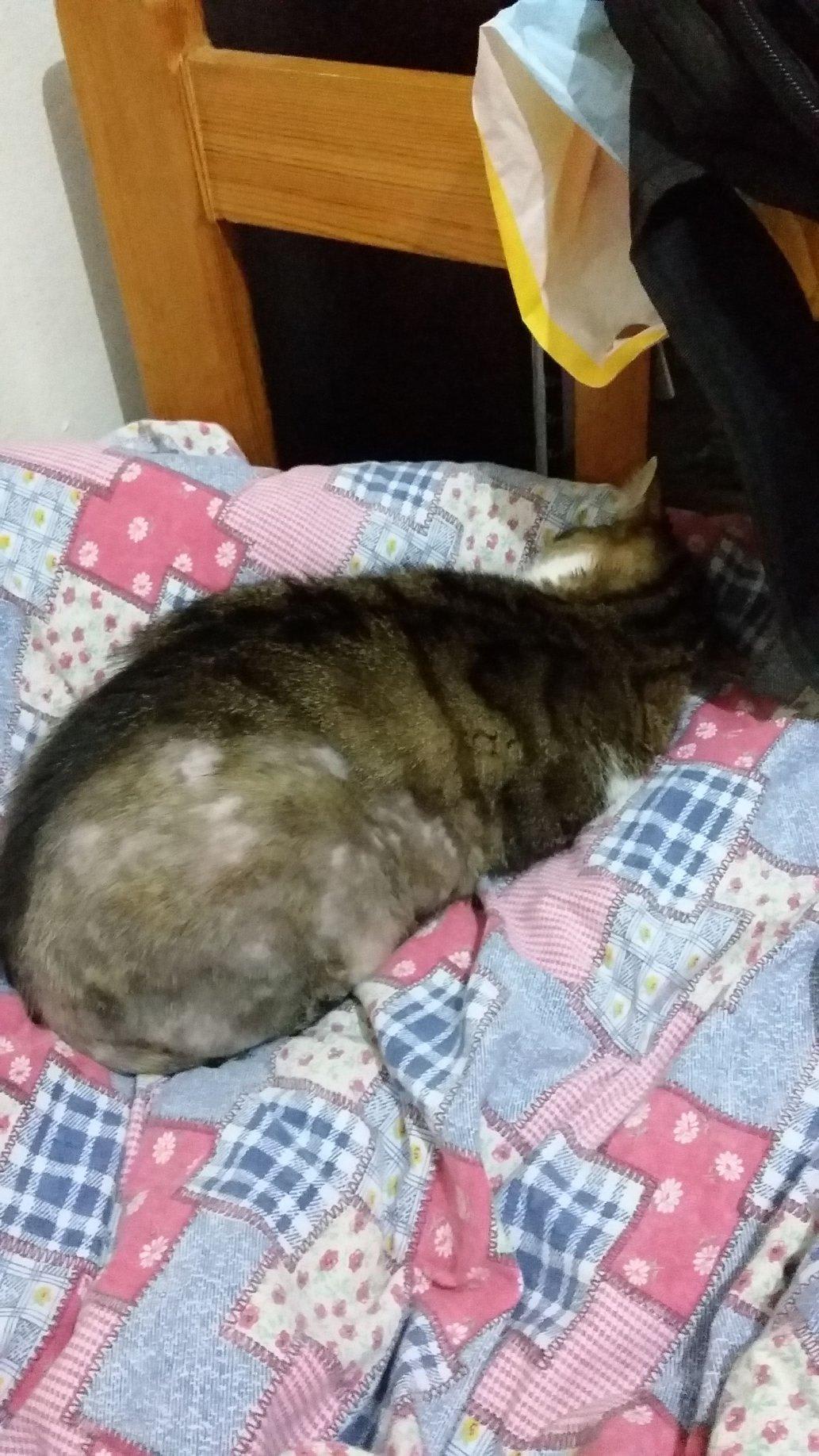 Question details sensitive content