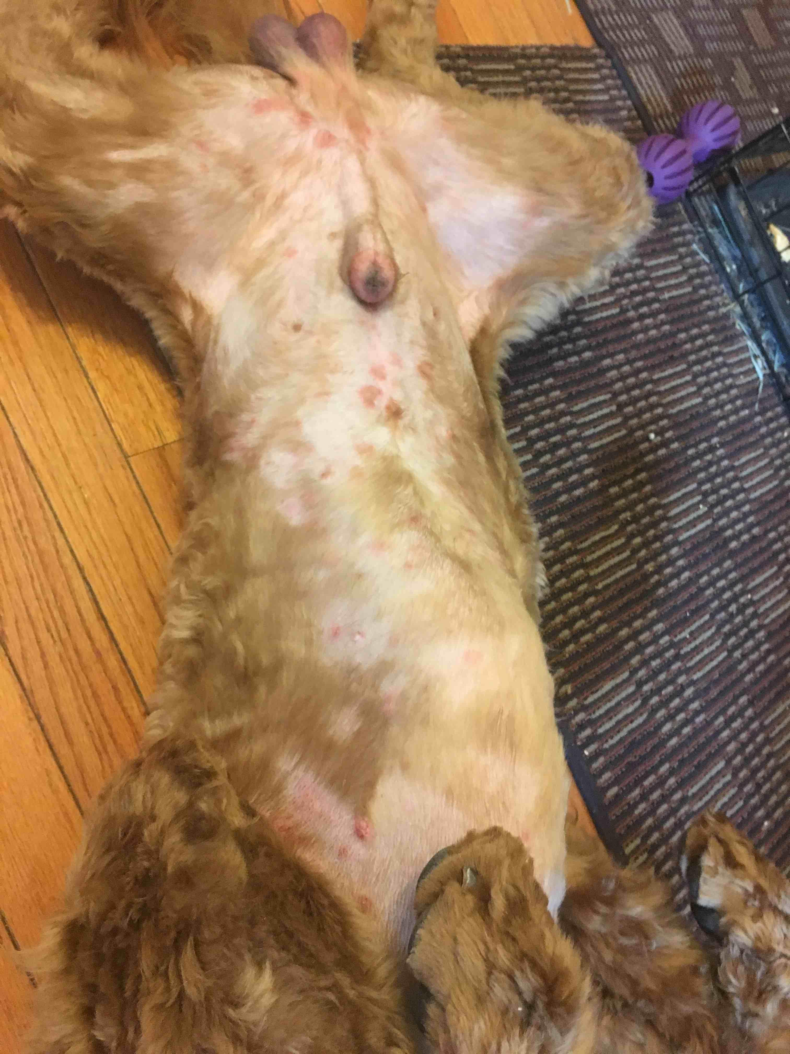 Question details sensitive content