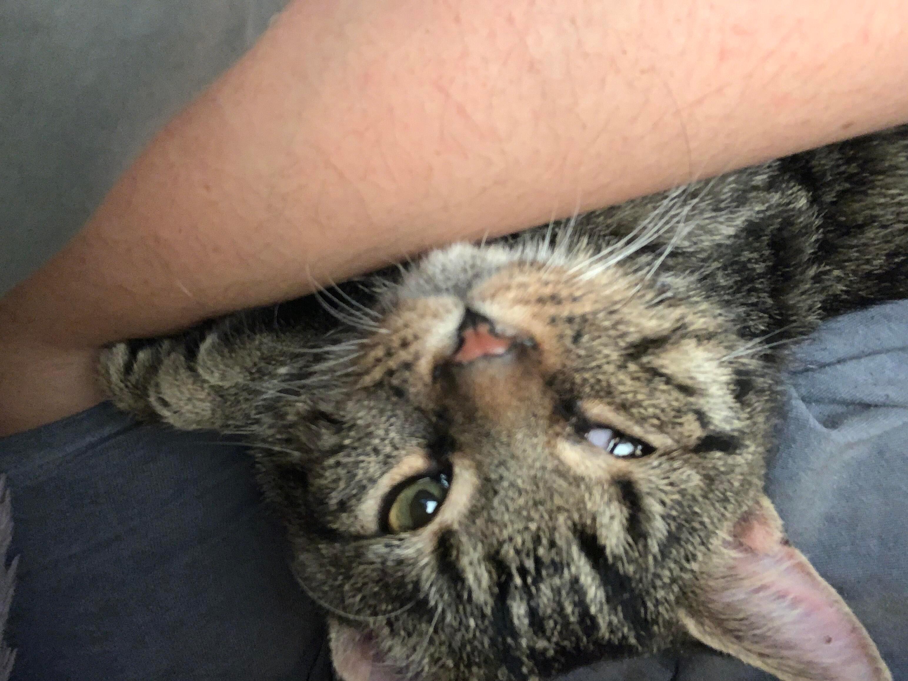 Question details sensitive content