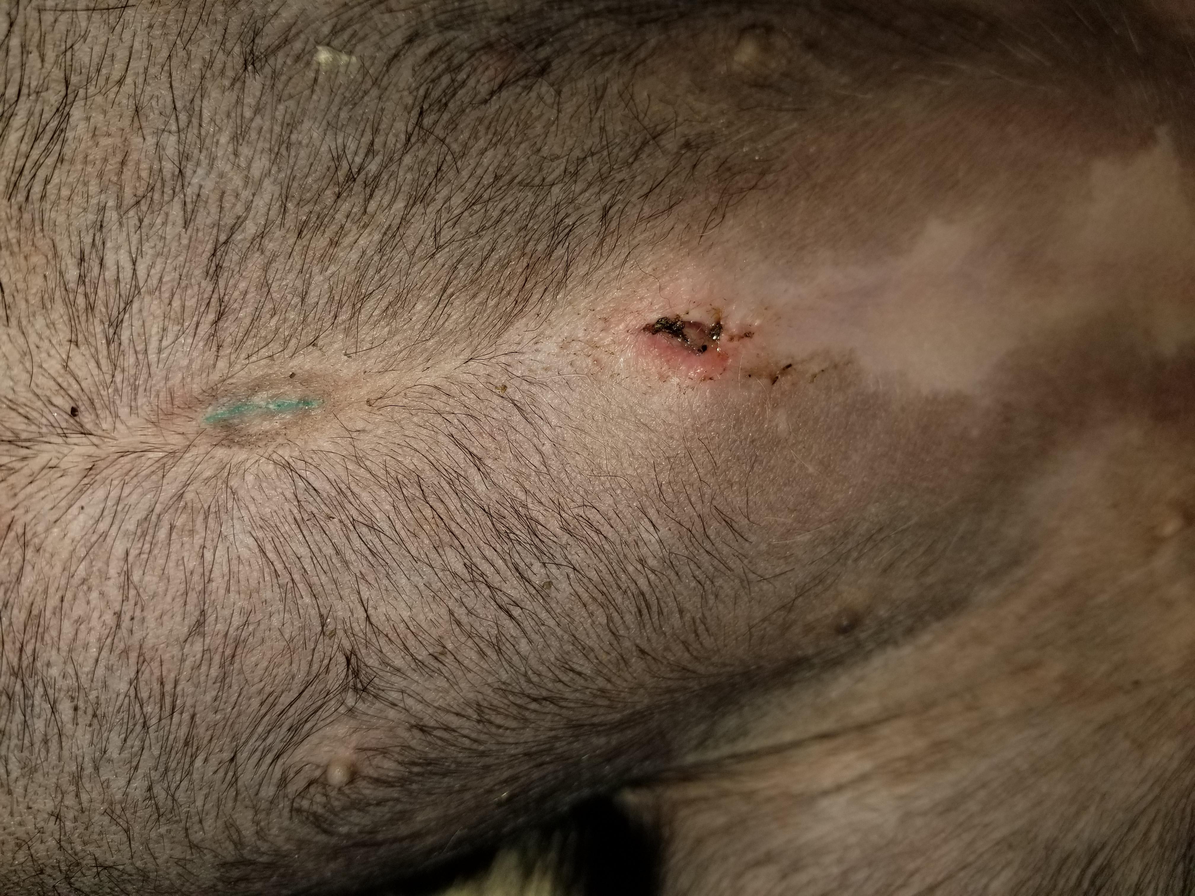 Question details sensitive content