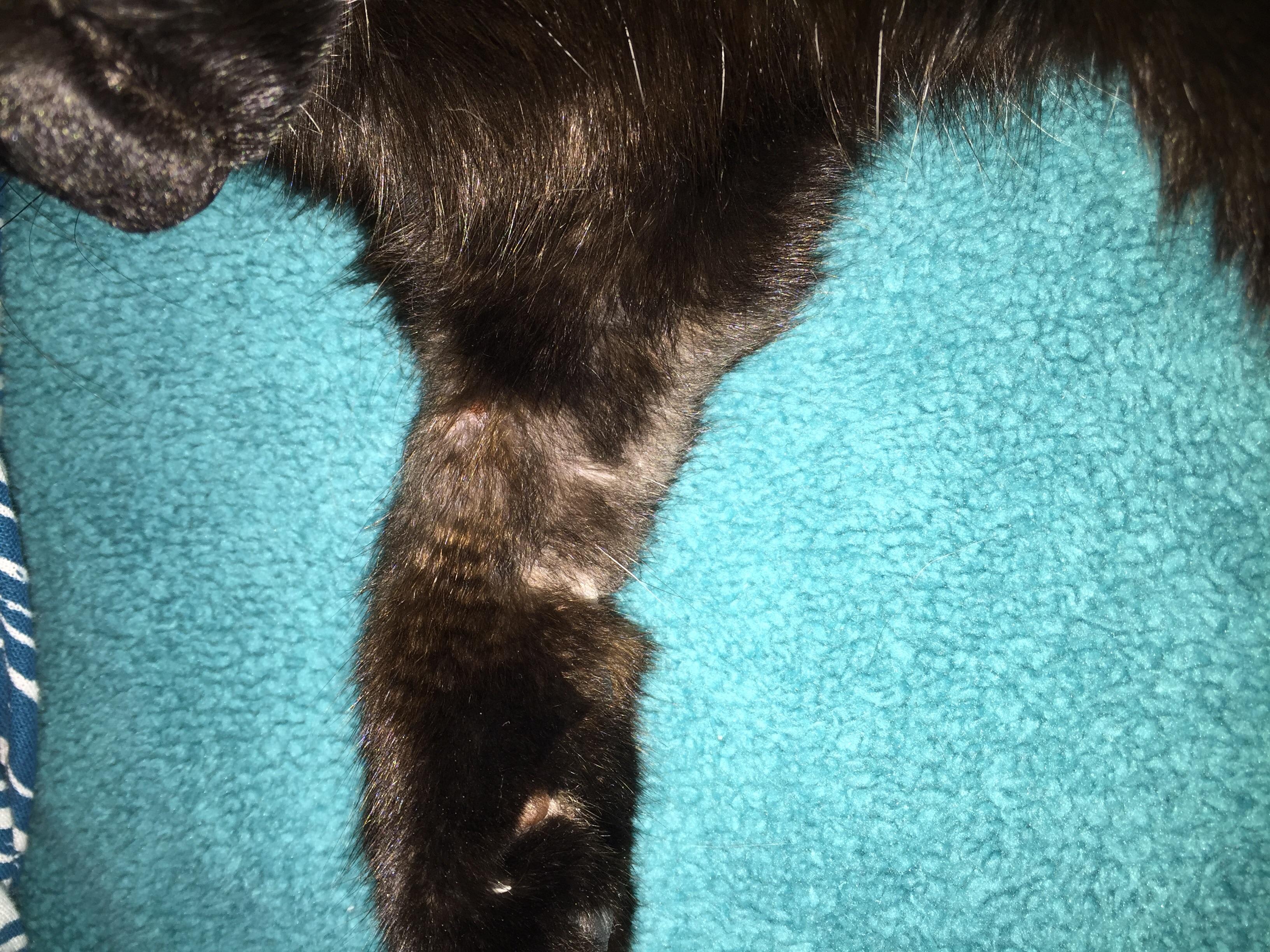 Question details sensitive content