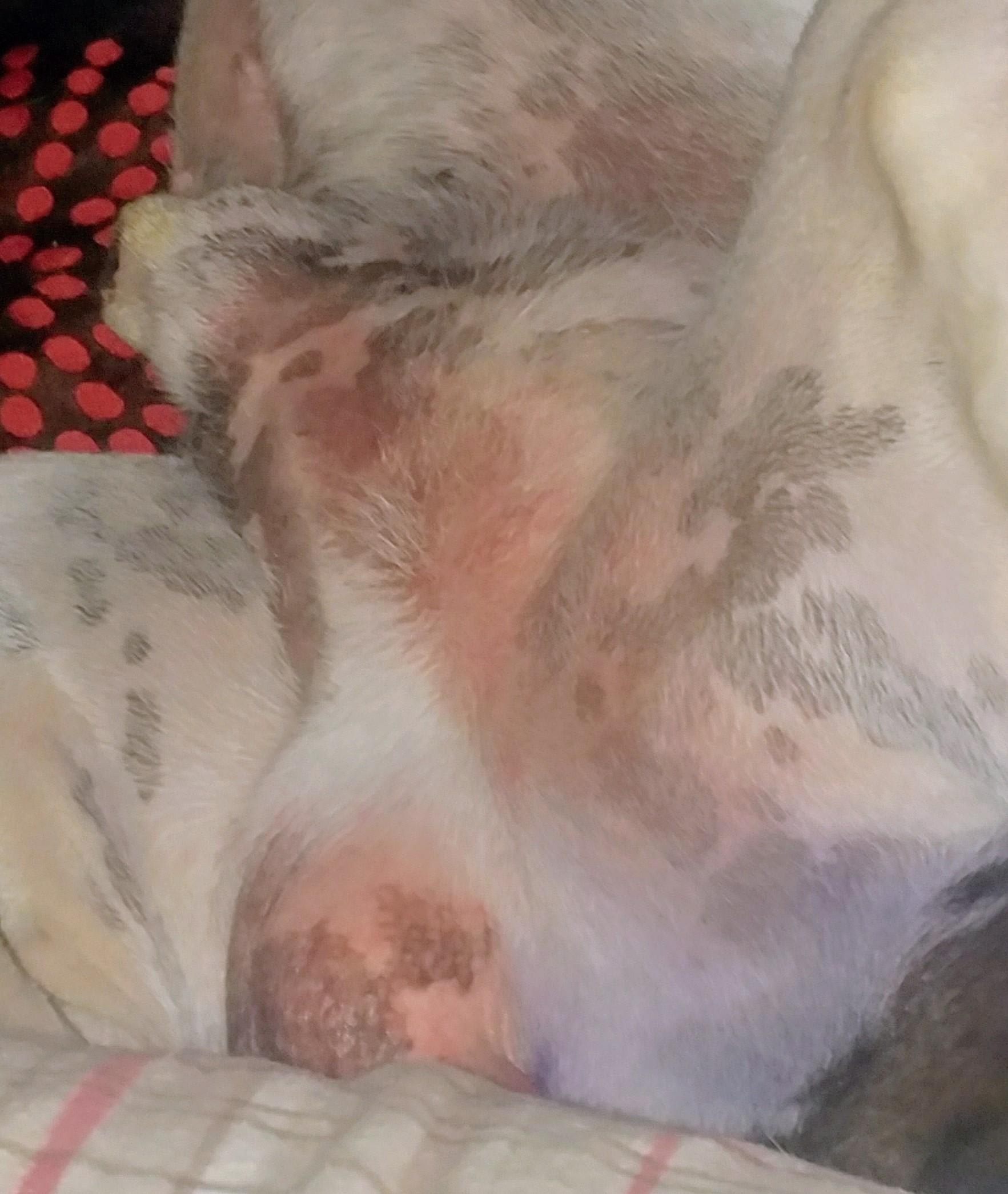 Question details sensitive content