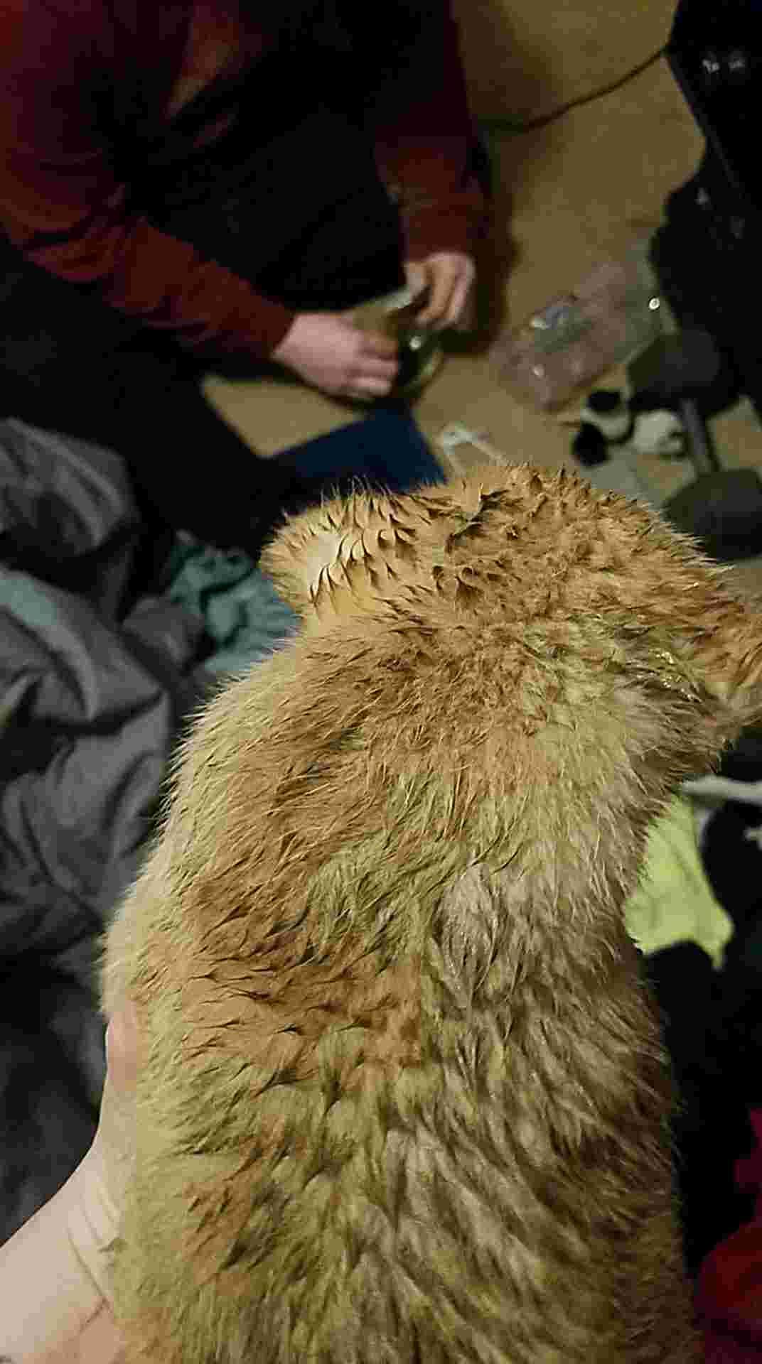 Question details sensitive content