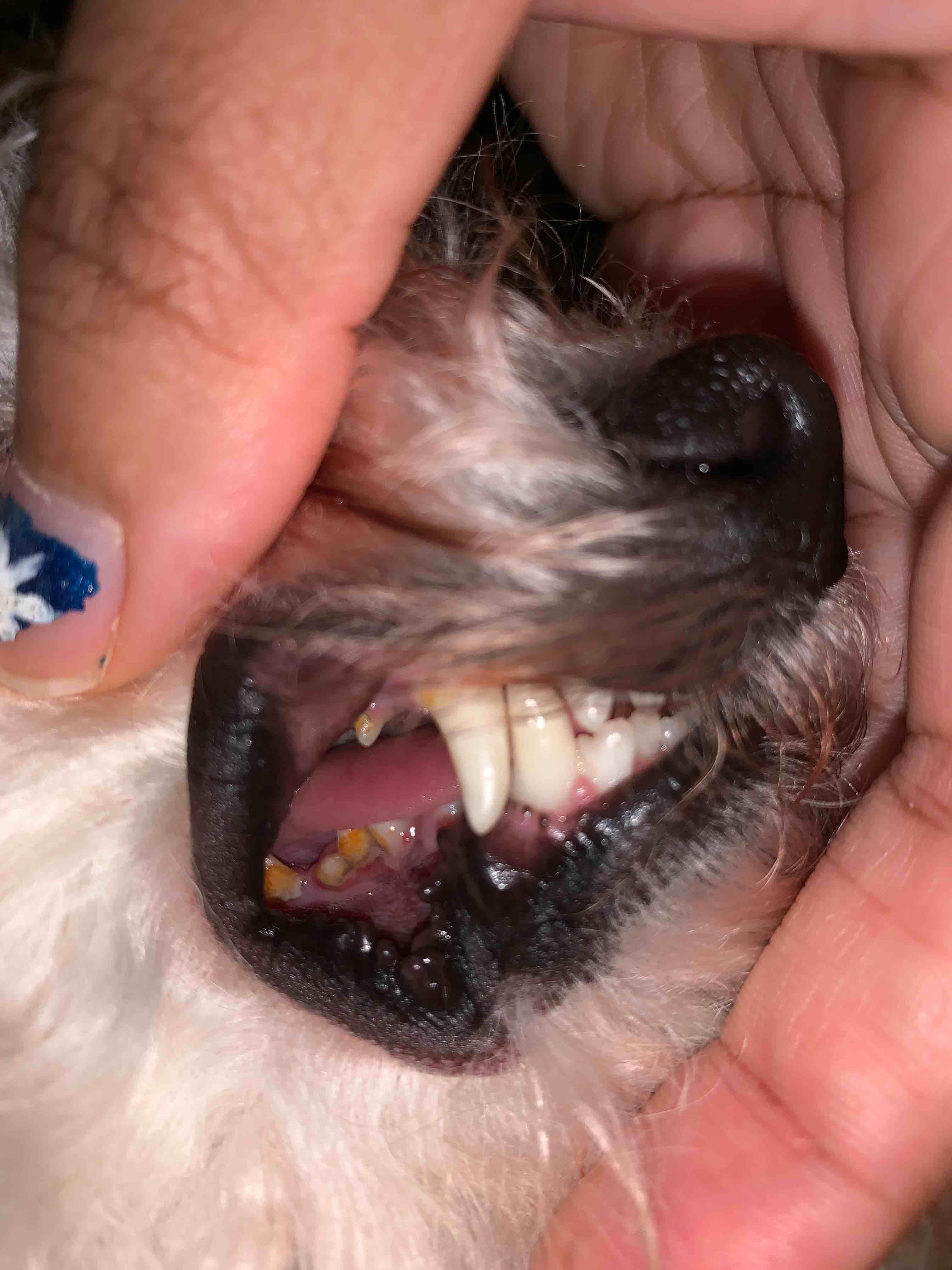 Question details sensitive content