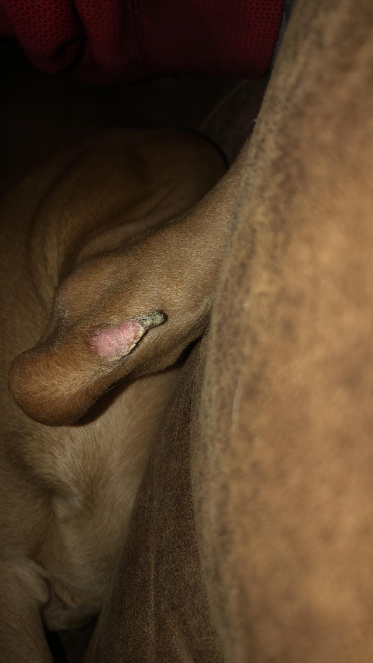 Question details sensitive content