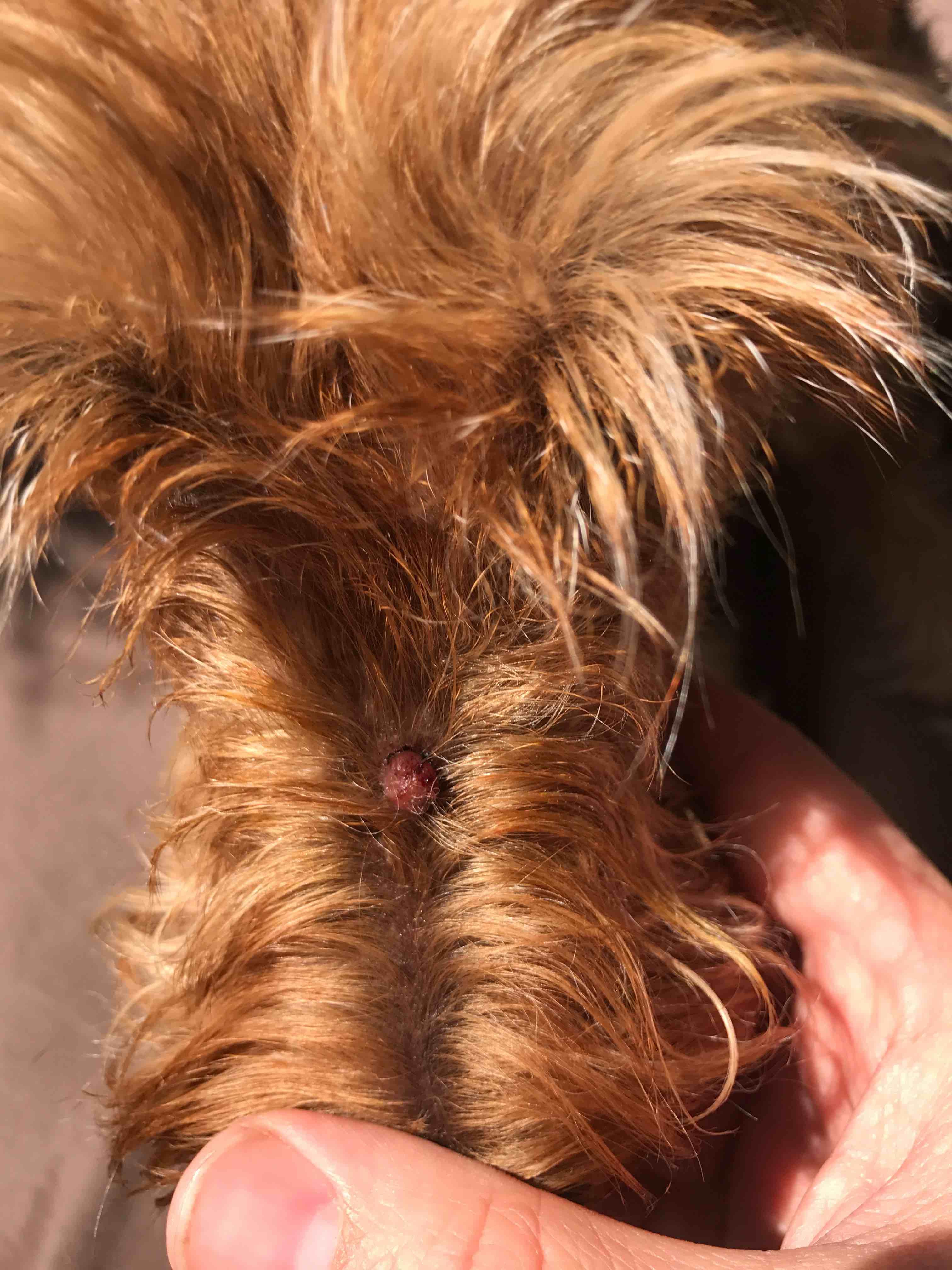 Question details sensitive content