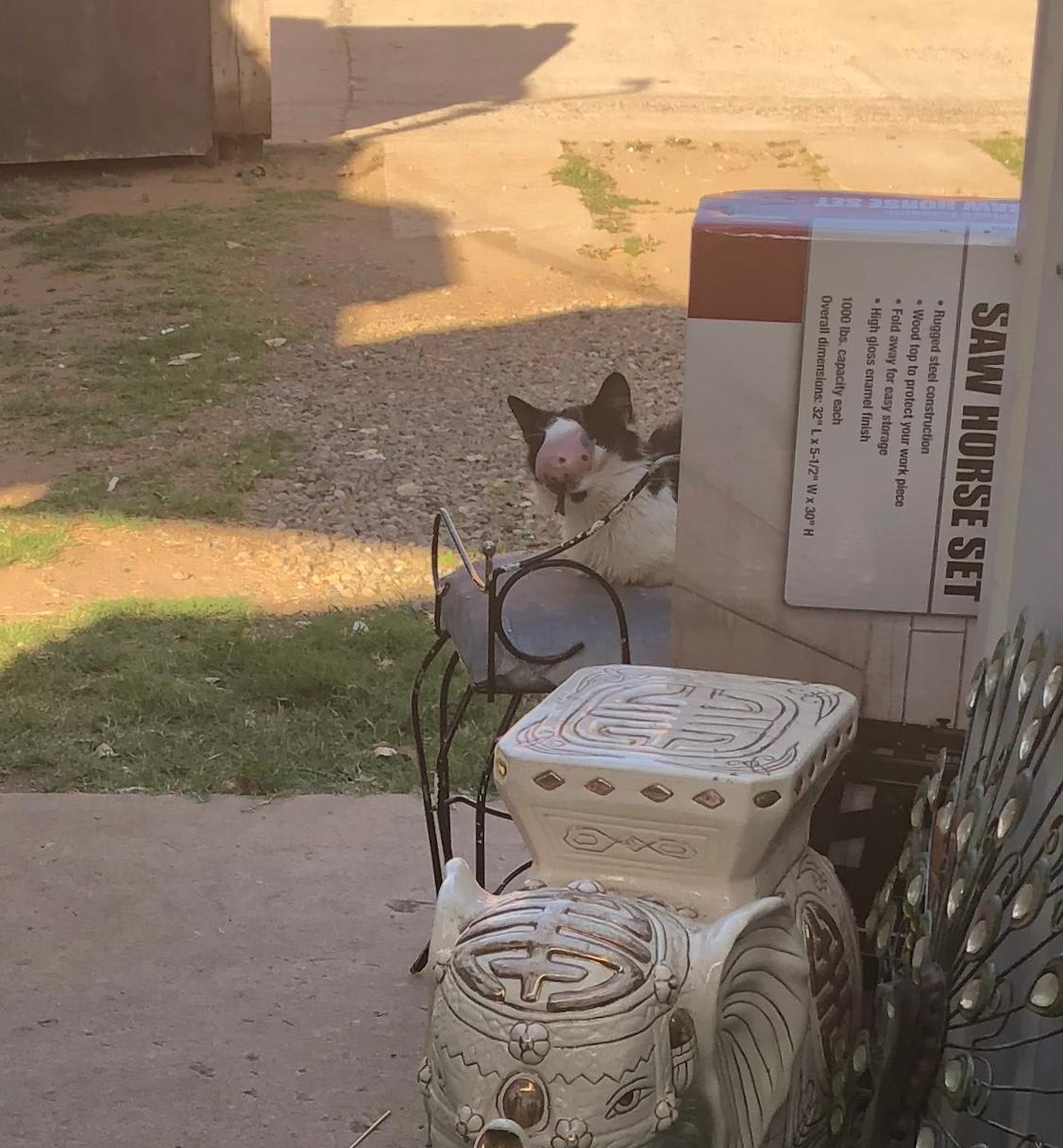 Question details sensitive content