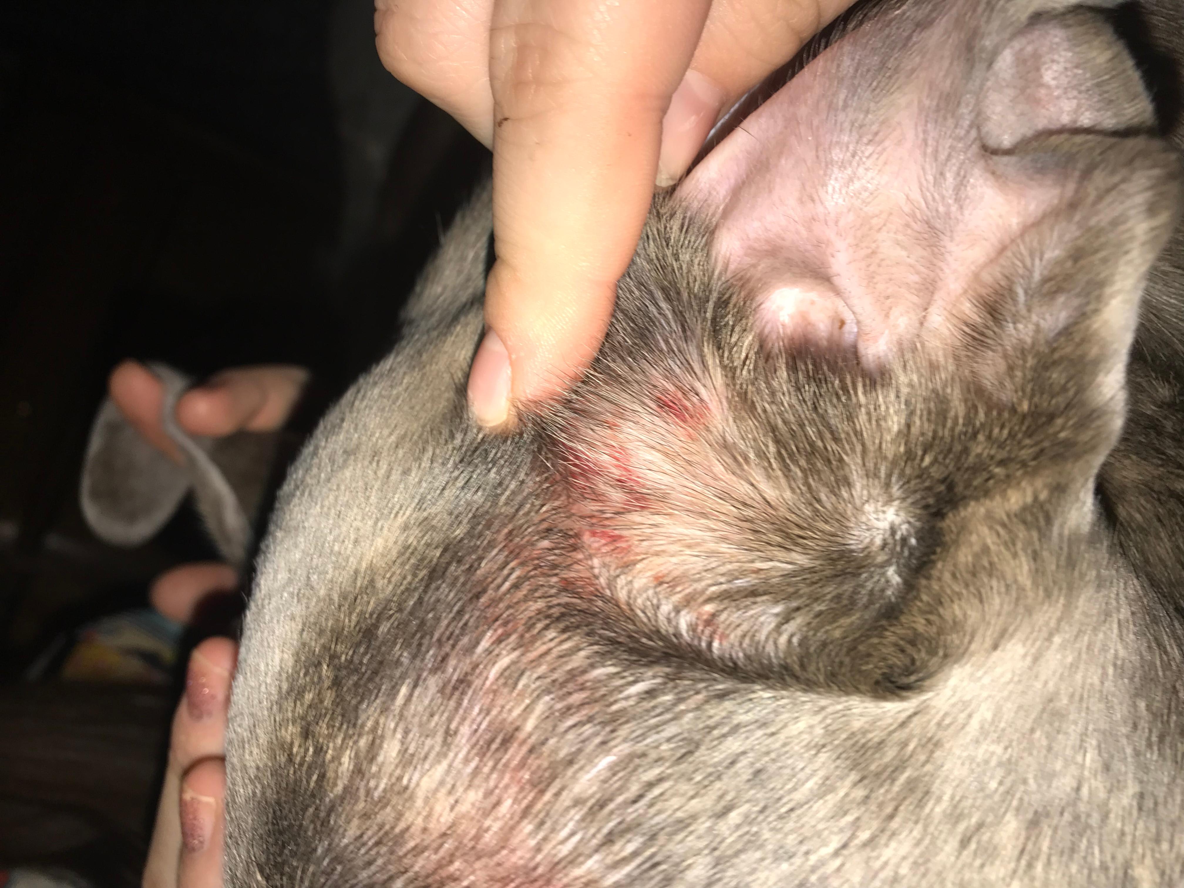 Question details sensitive content