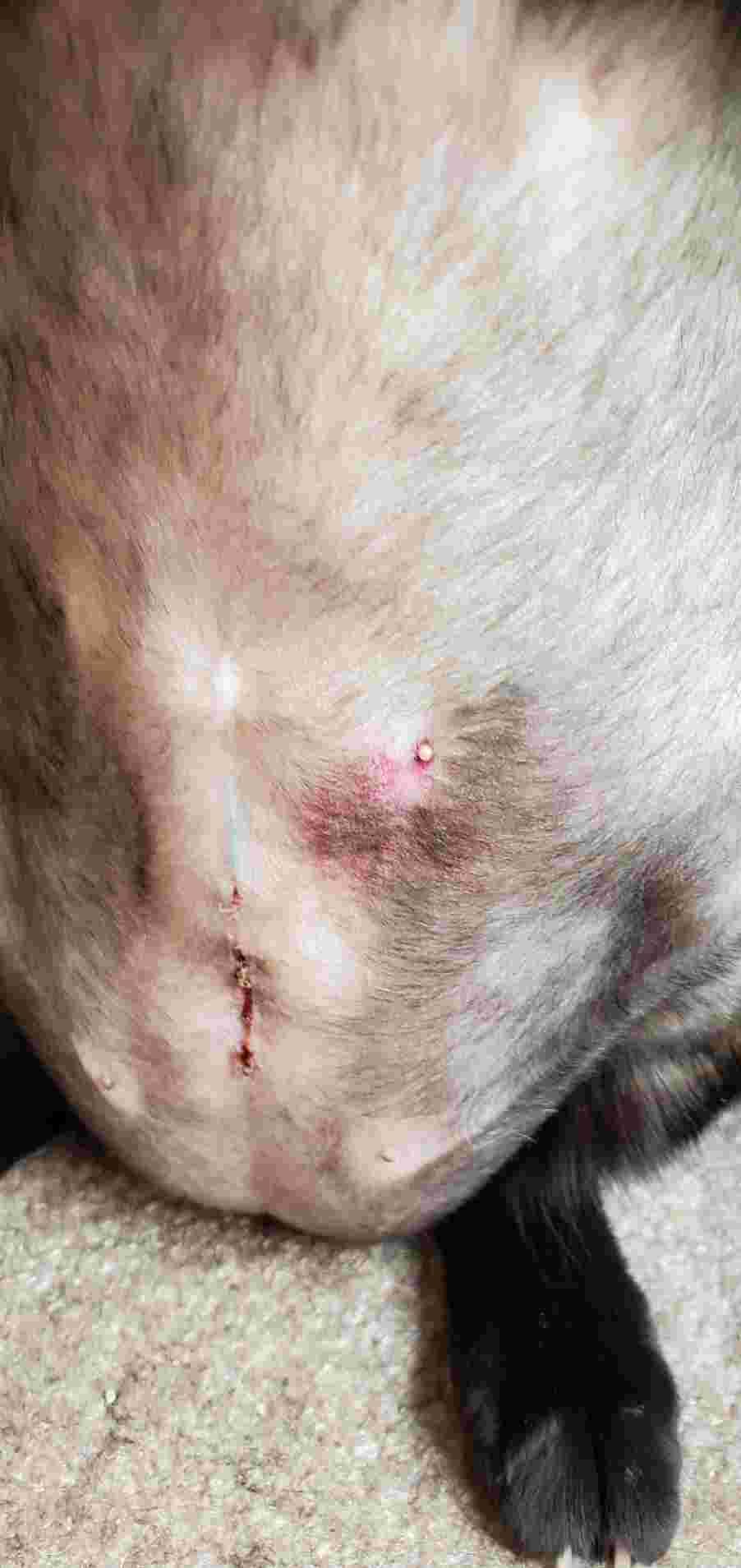 Question details sensitive content