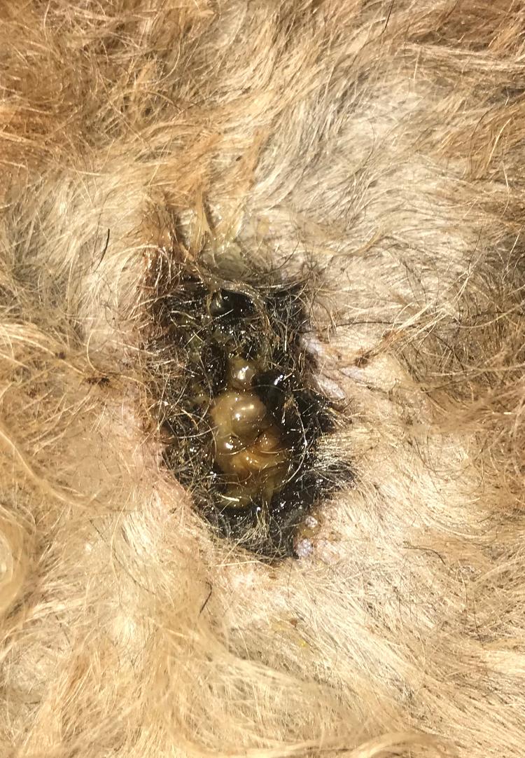 Question details sensitive content