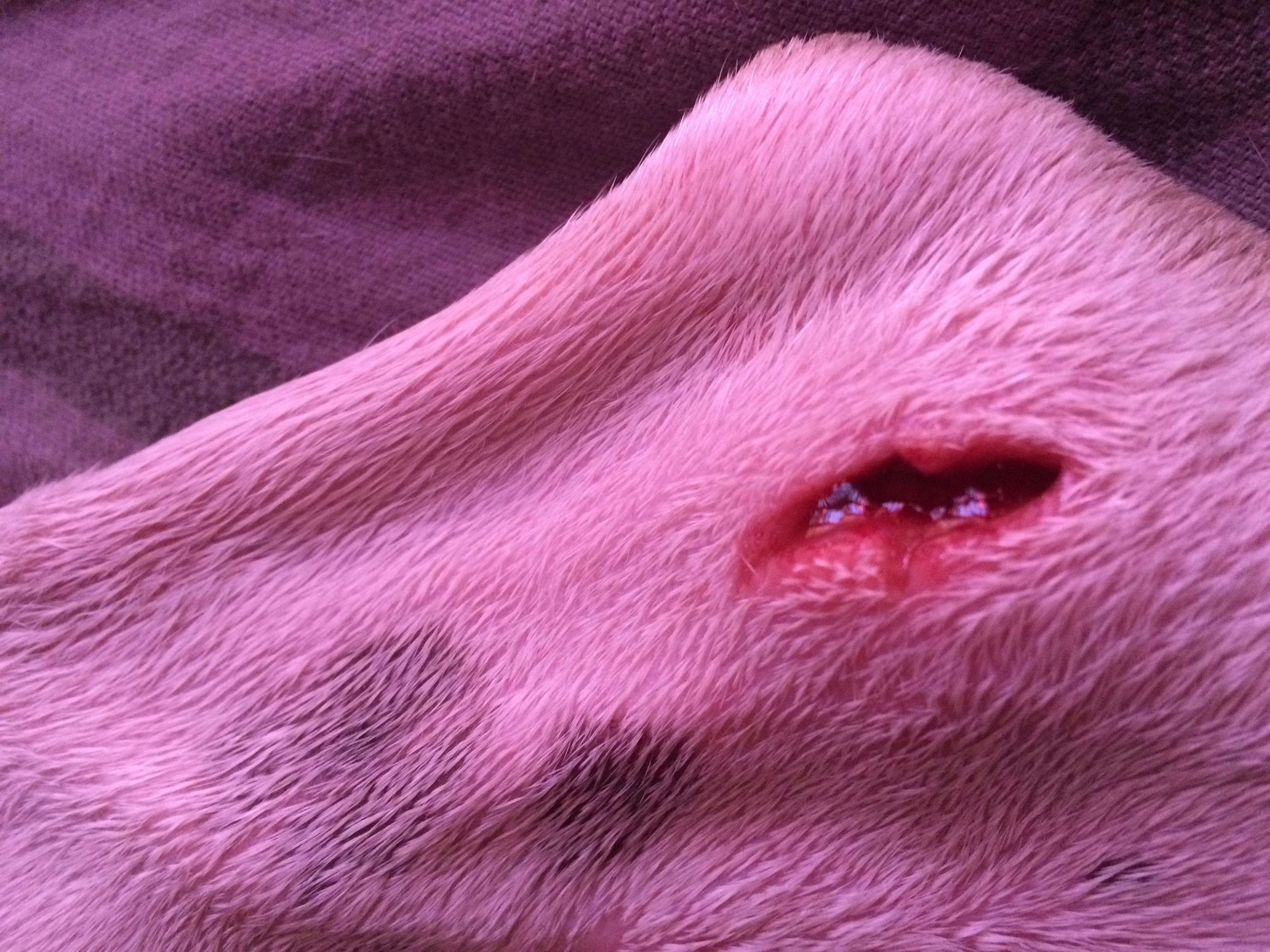 Question details sensitive content