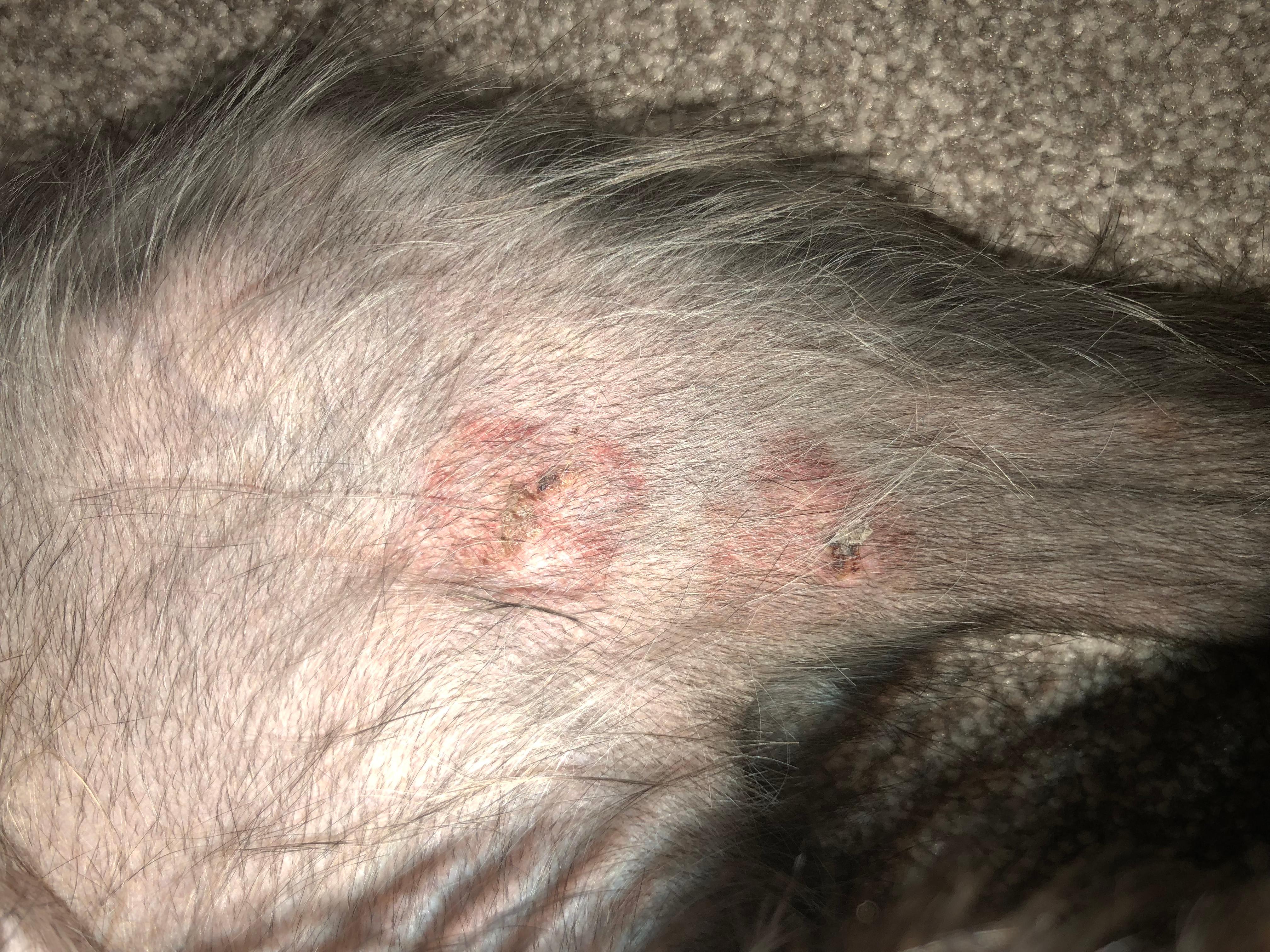 Question details sensitive content