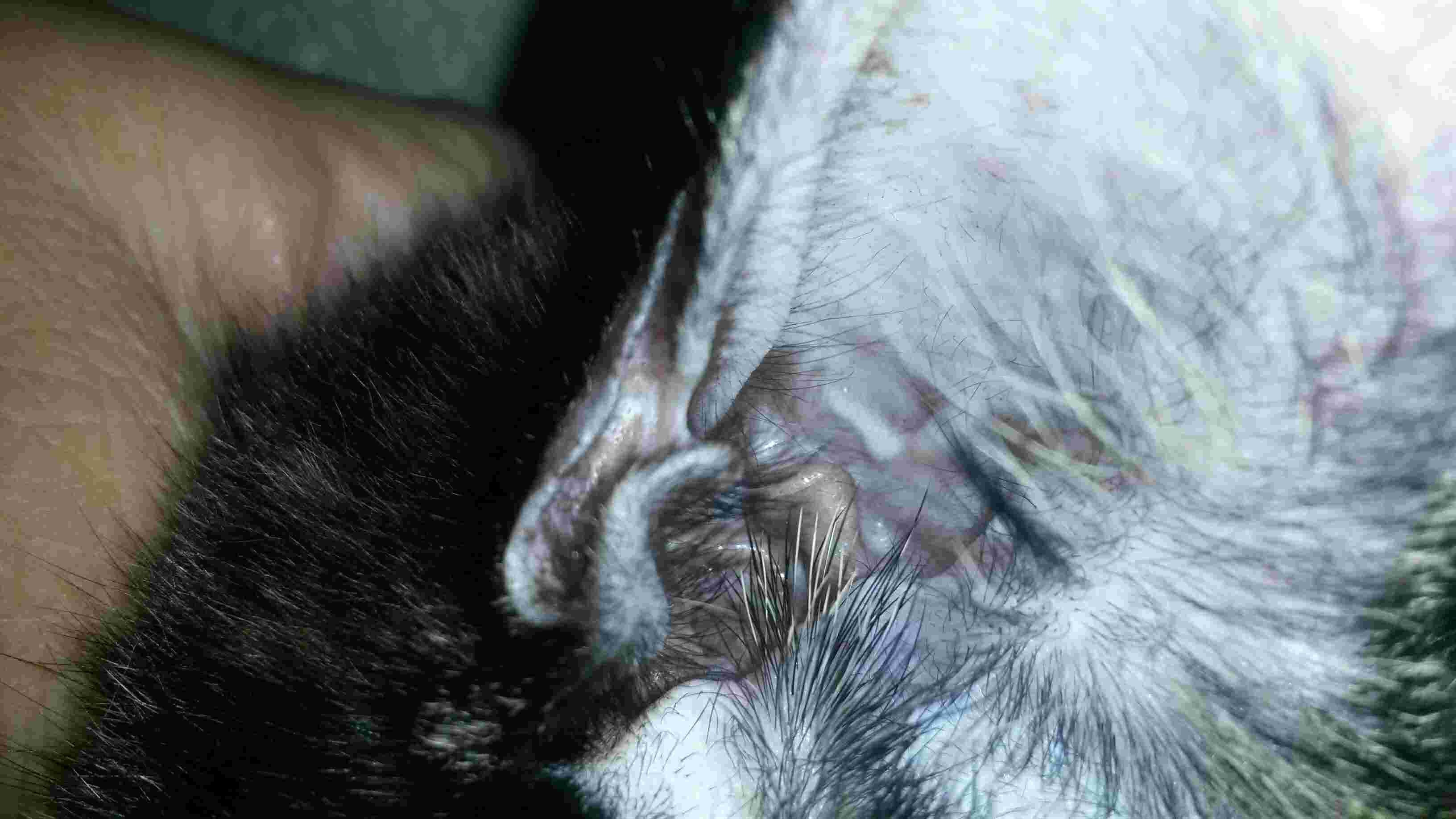 Question details sensitive content