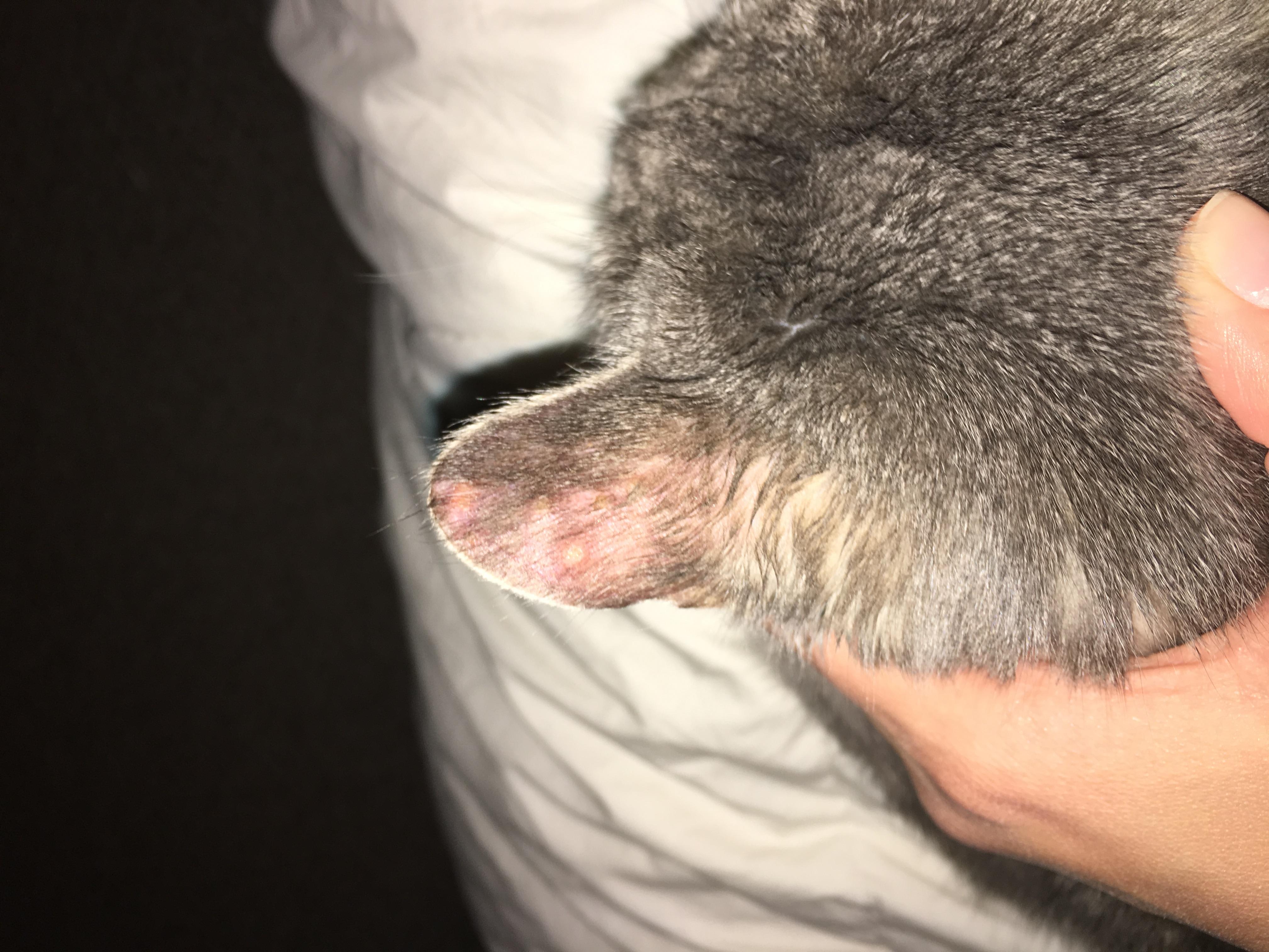 Question details sensitive content