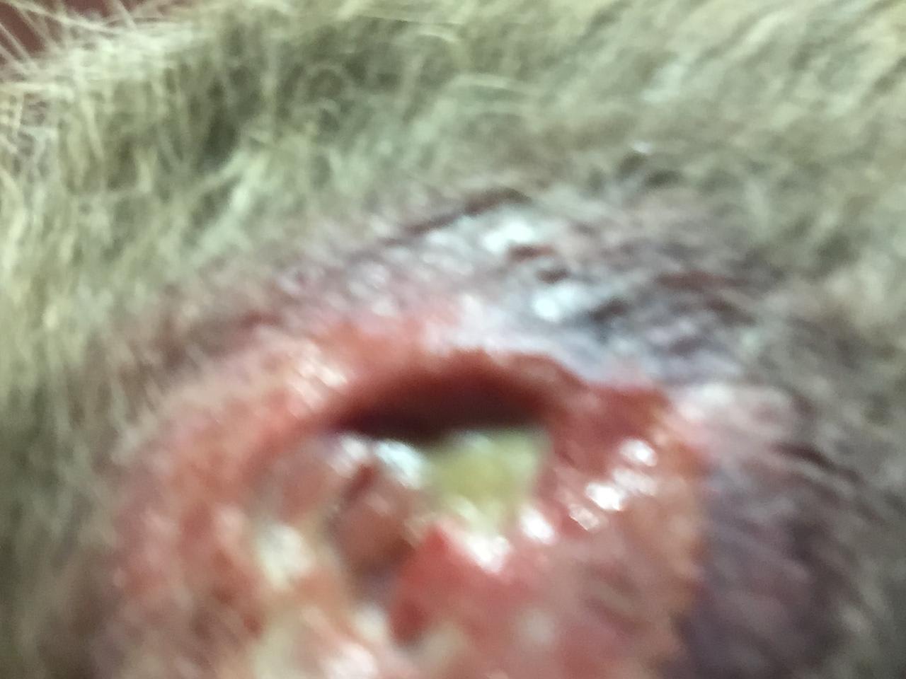 Question details sensitive content