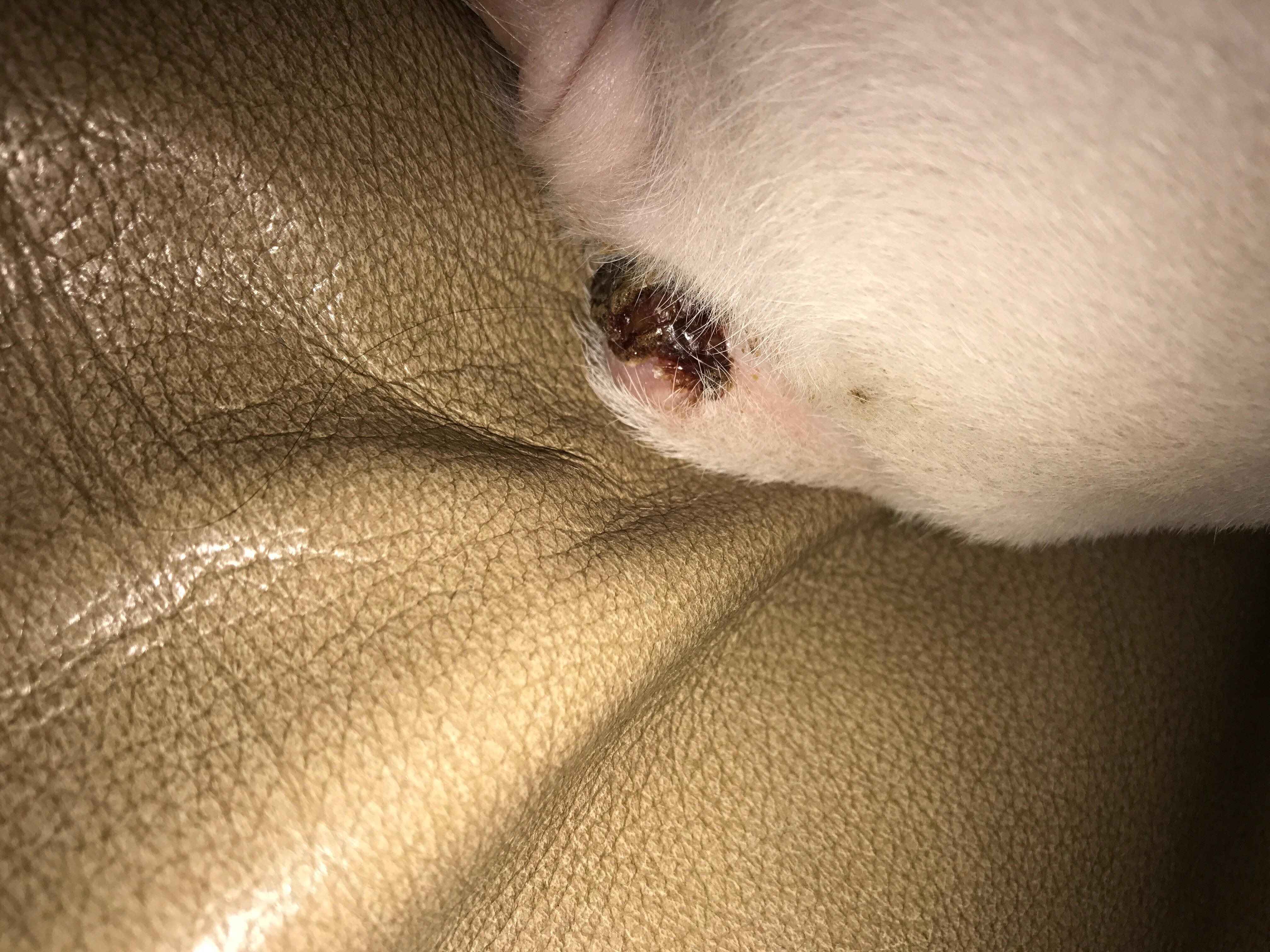 Question details sensitive content