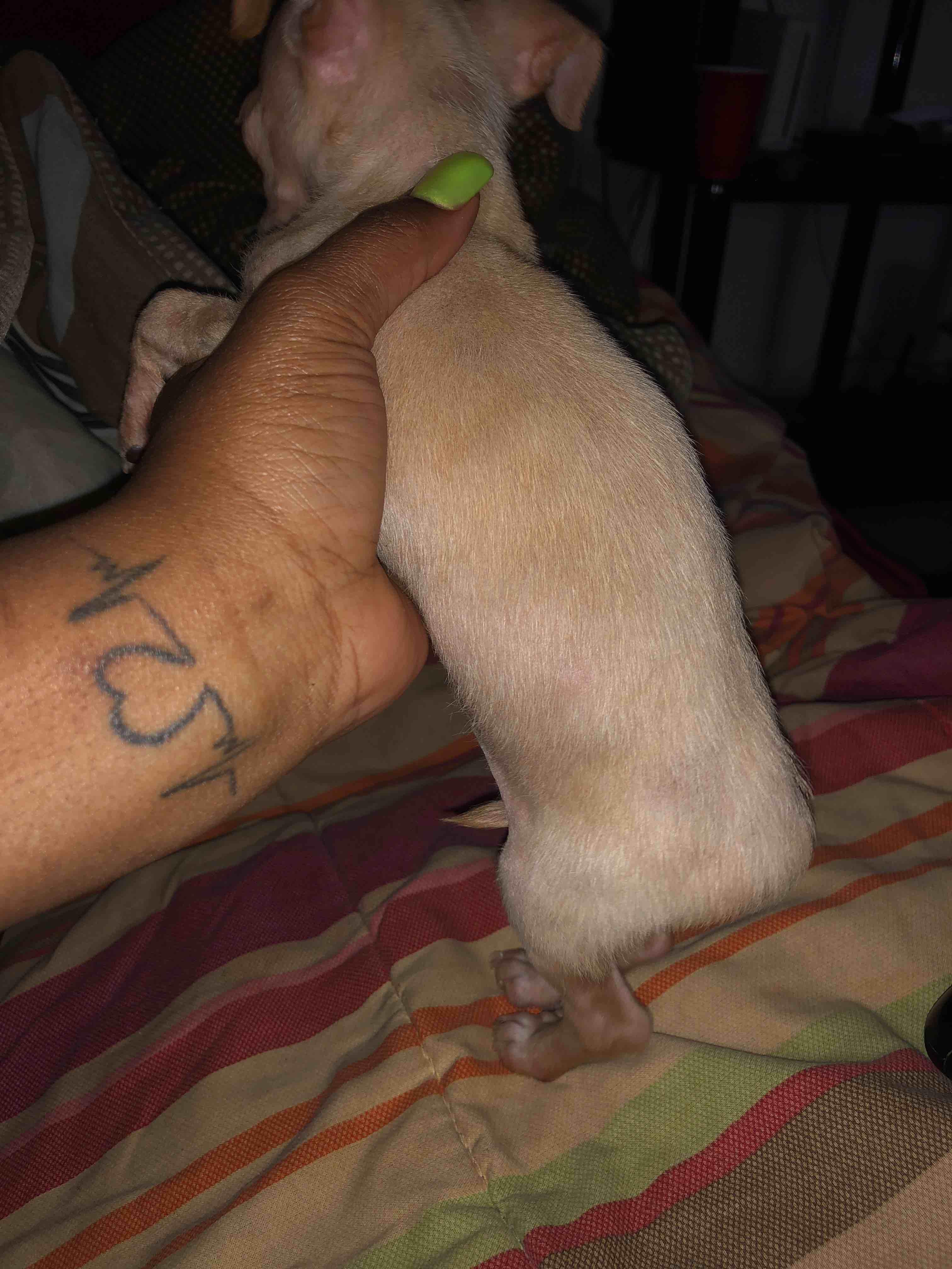 Question details sensitive content