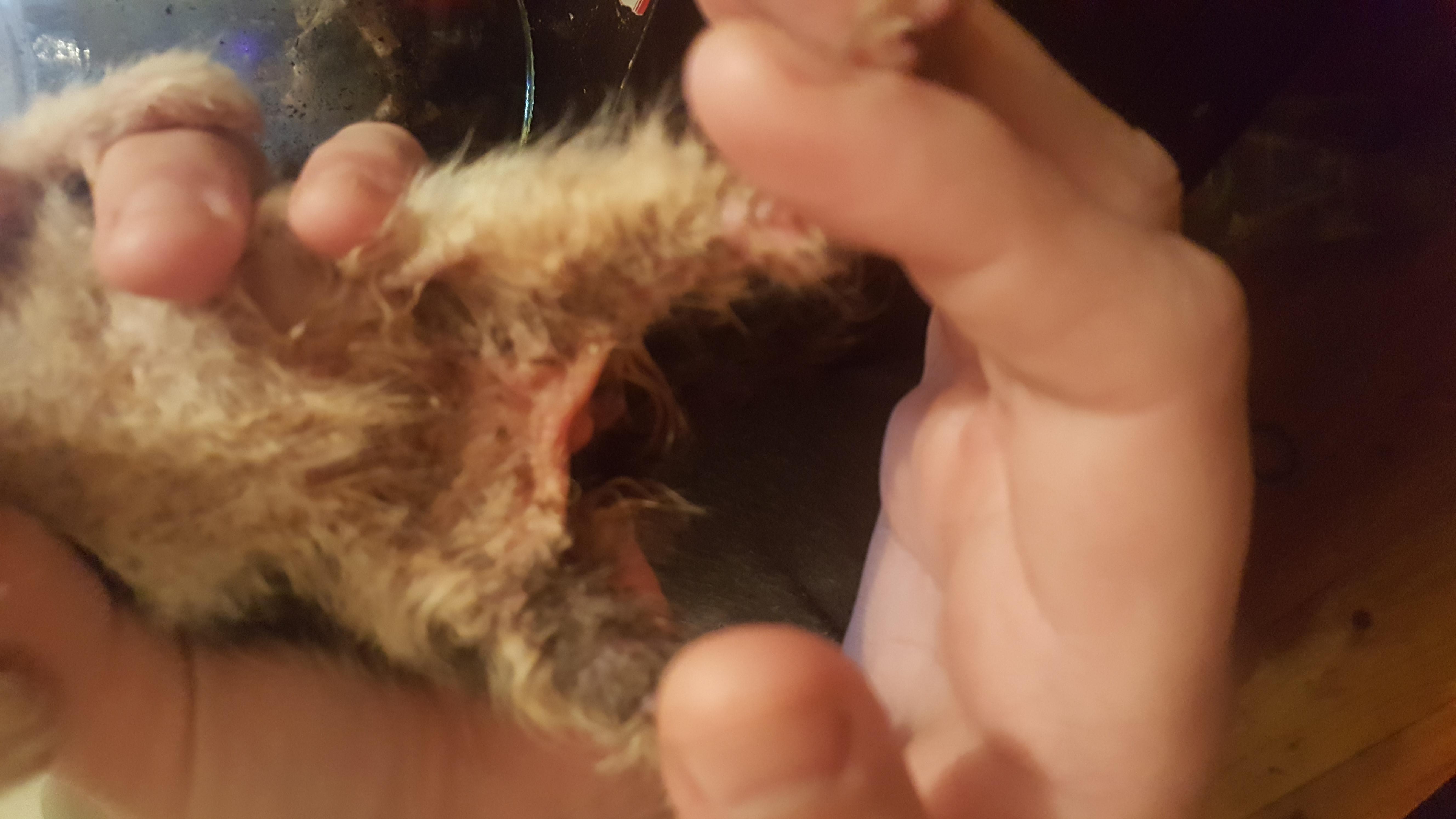 Question details sensitive content