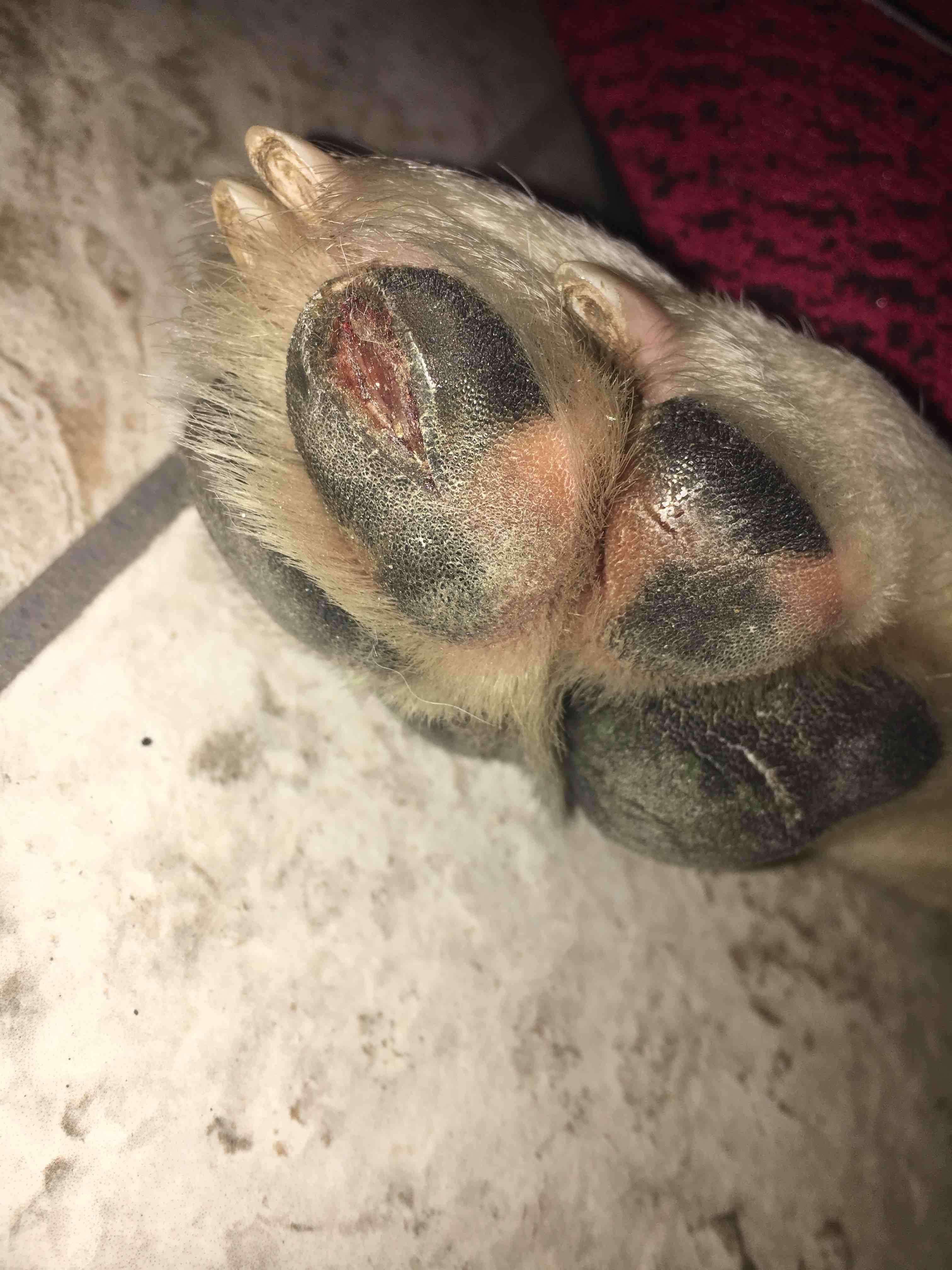 Question details sensitive content