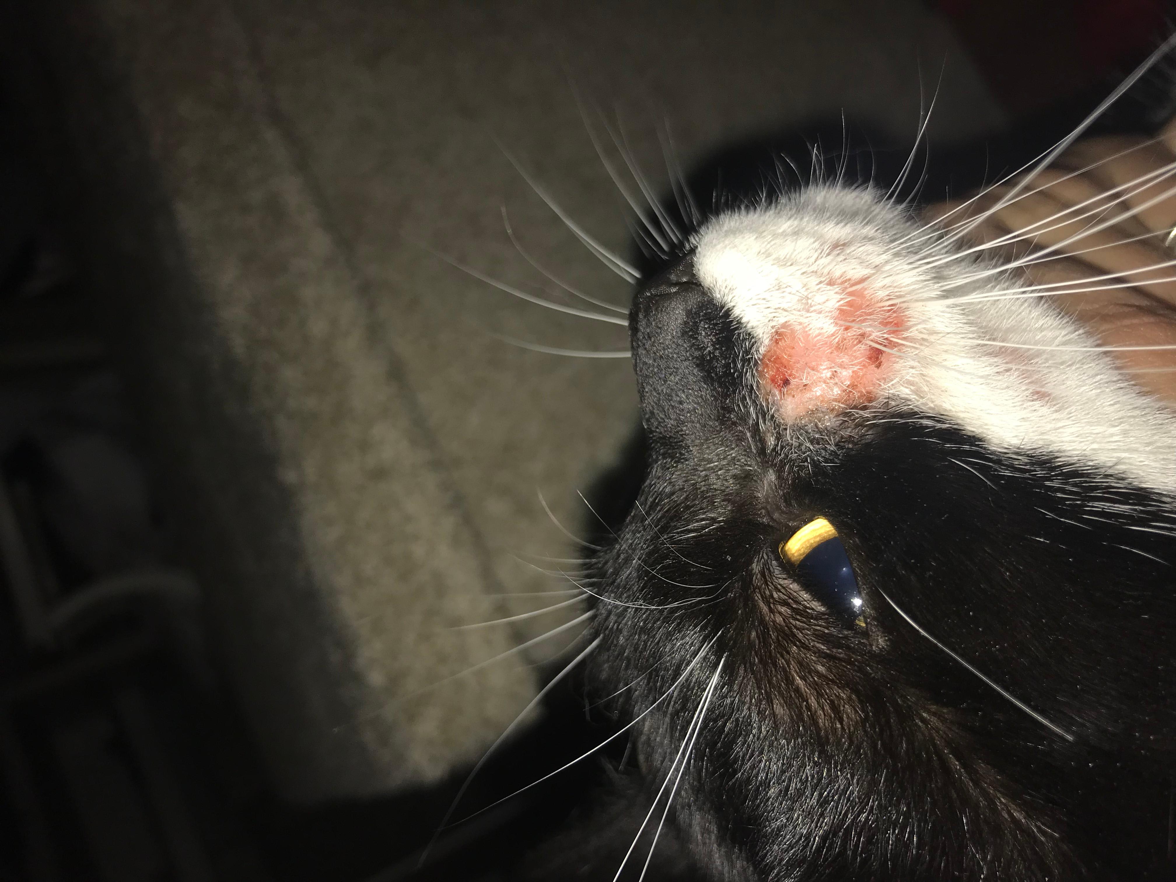 Question details sensitive content