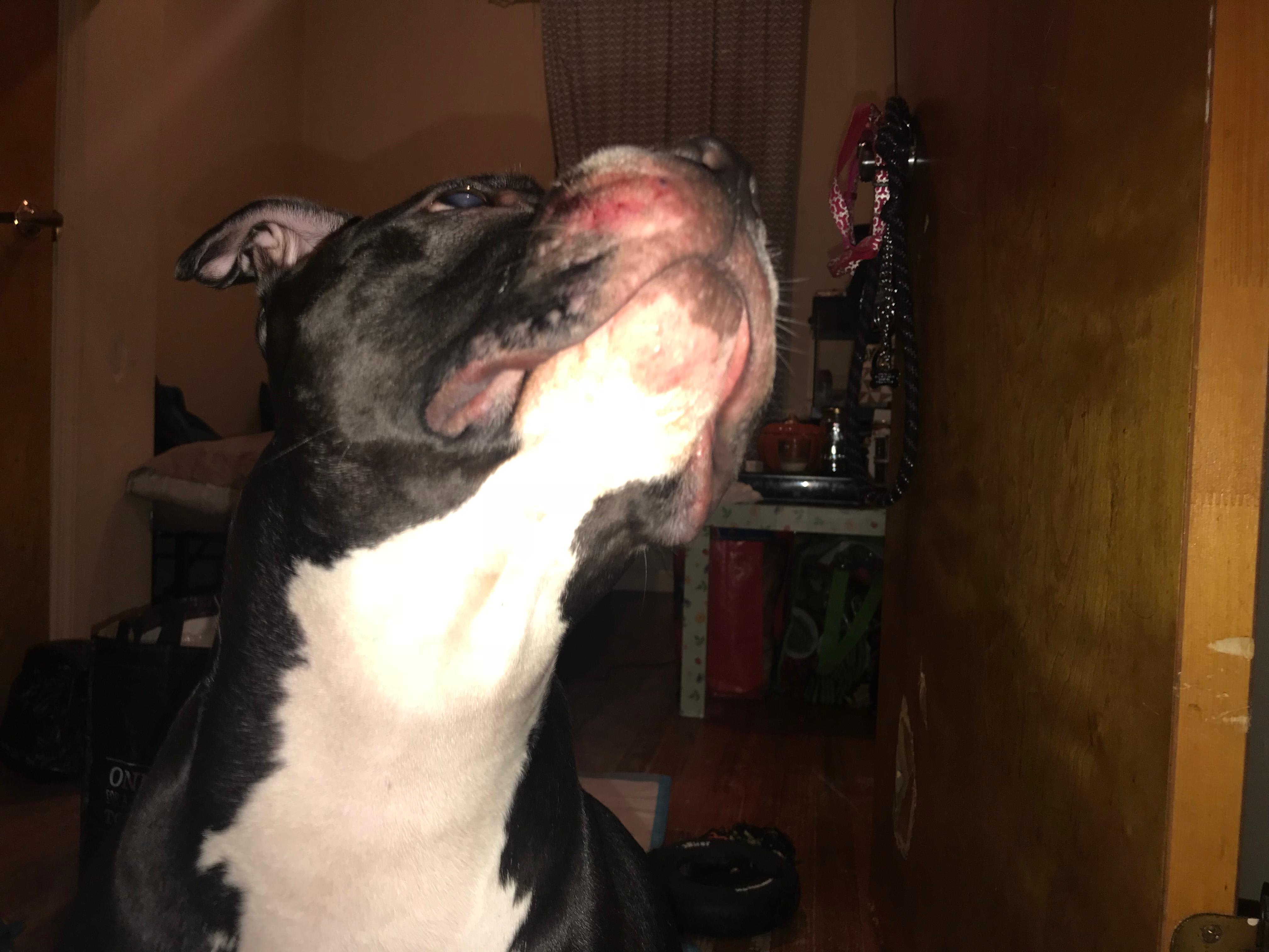 Question details sensitive content