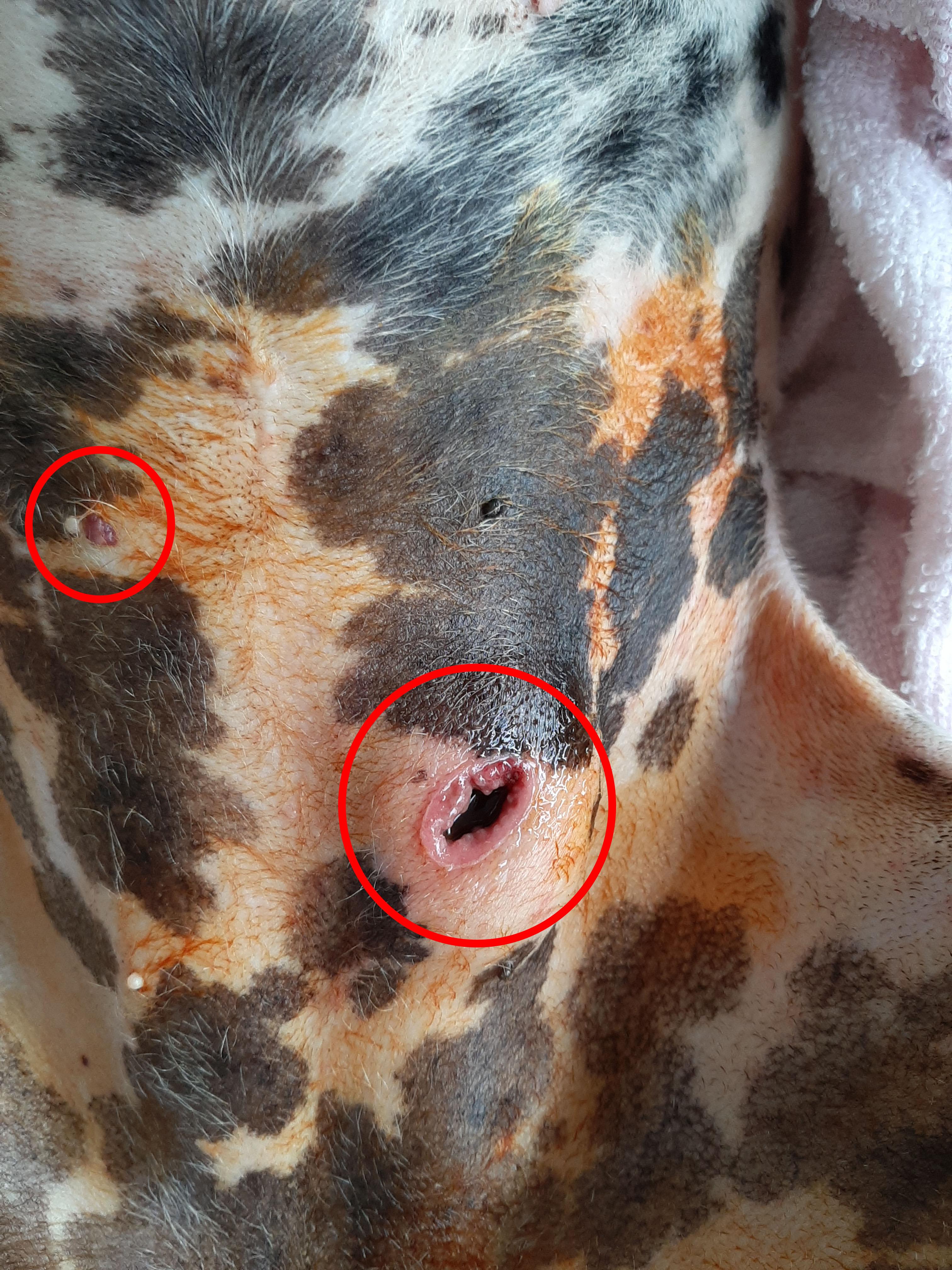 Question details sensitive content