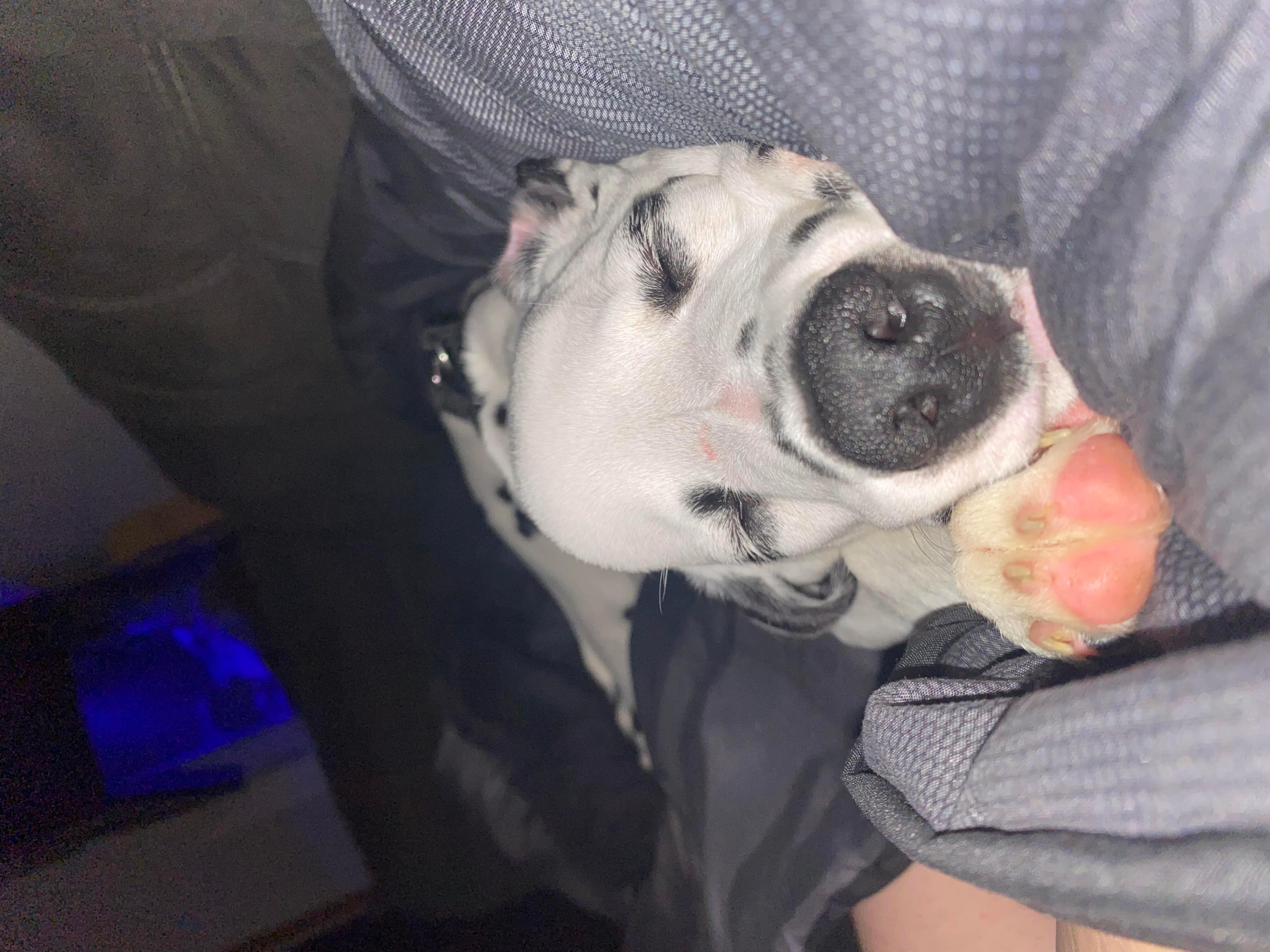 Question details sensitive content