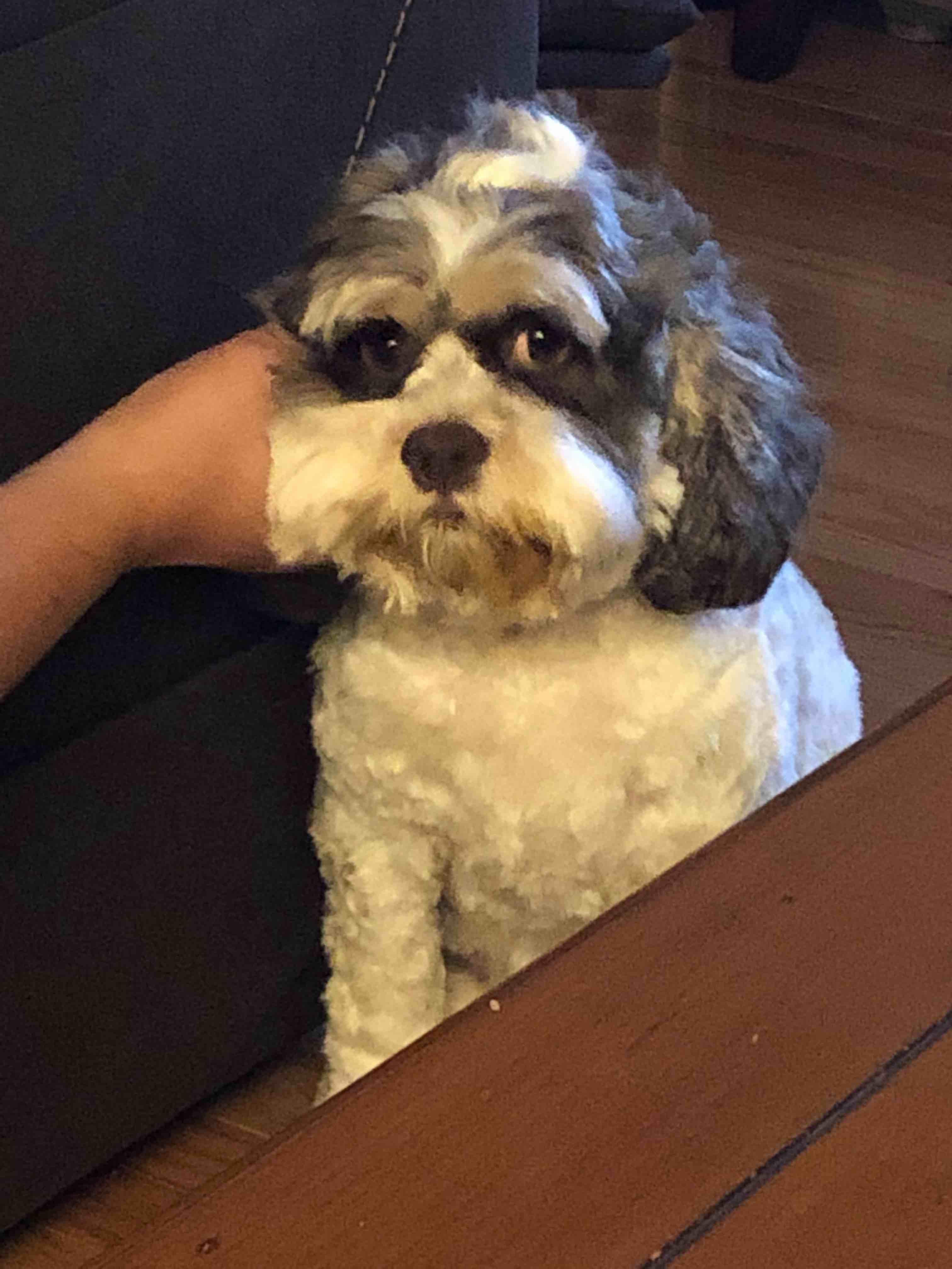 Question details sensitive content