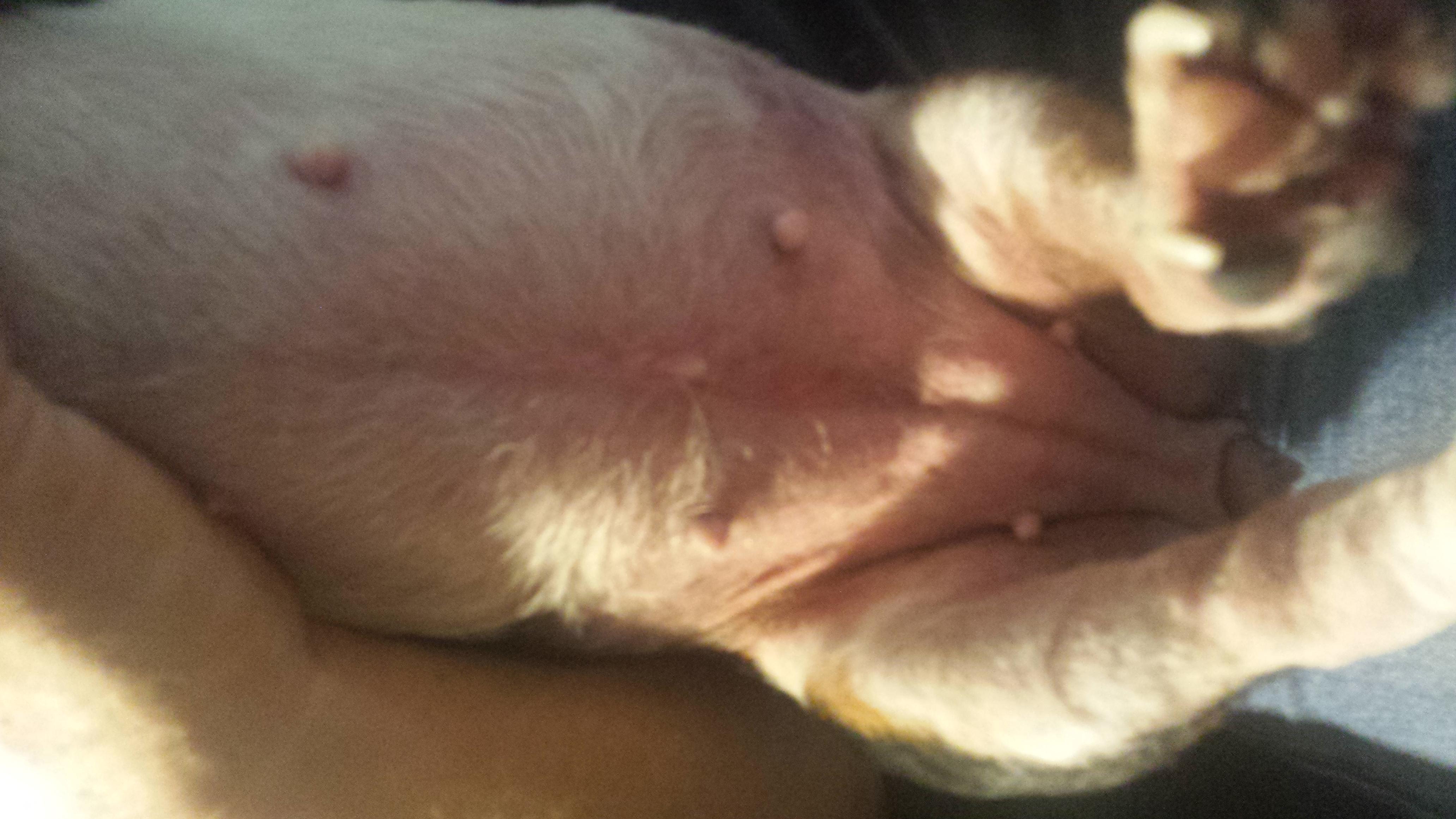 Question details sensitive content