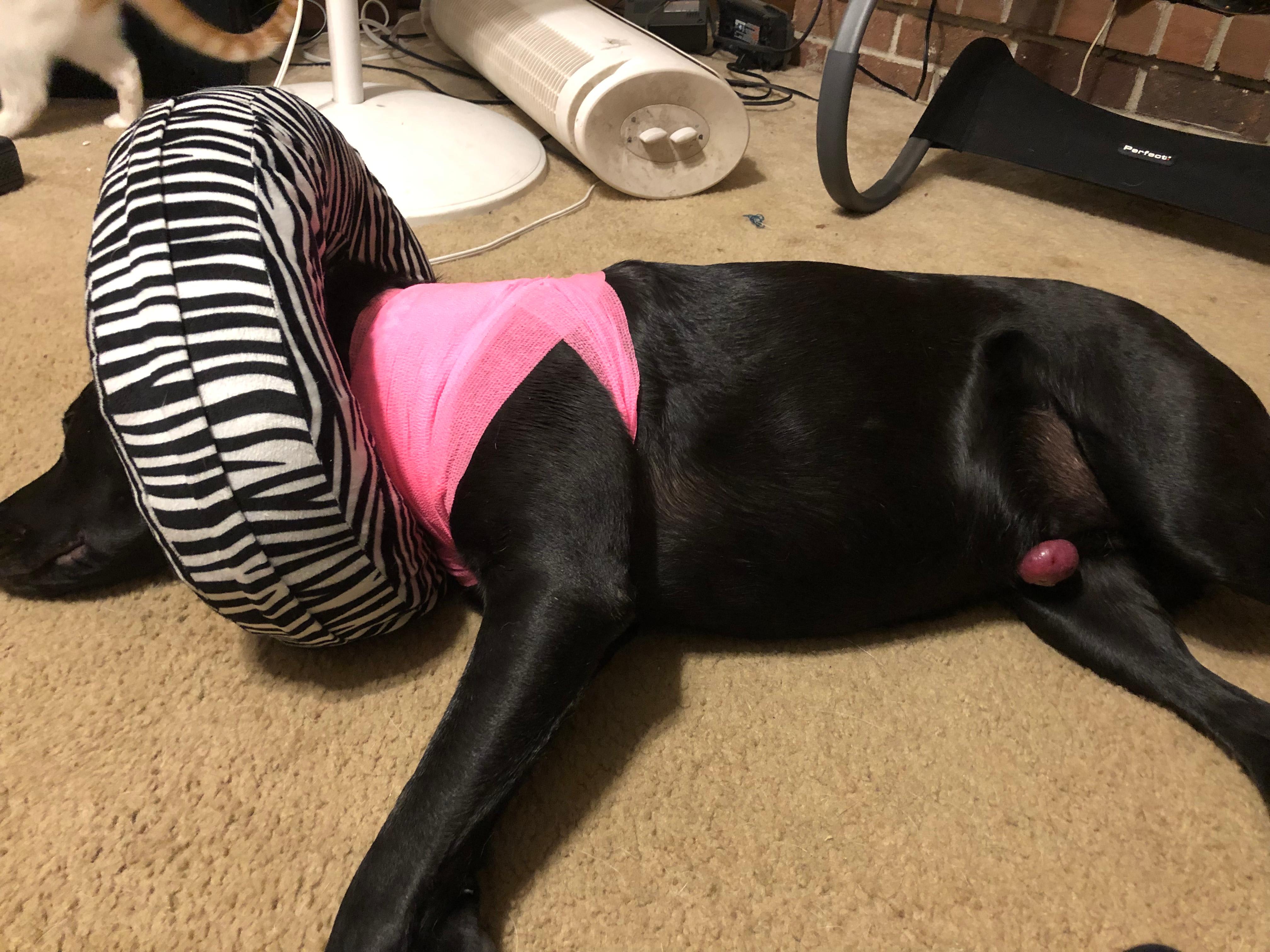 Question details sensitive content