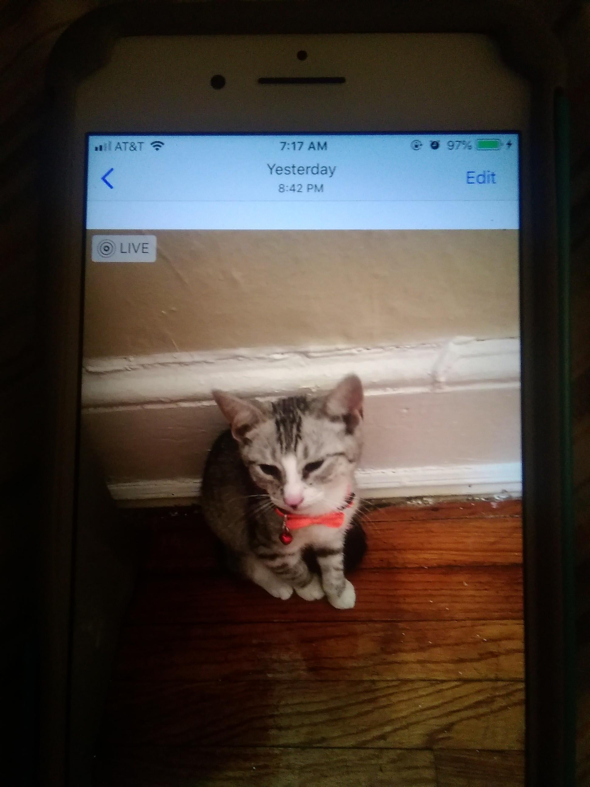 Question details sensitive content