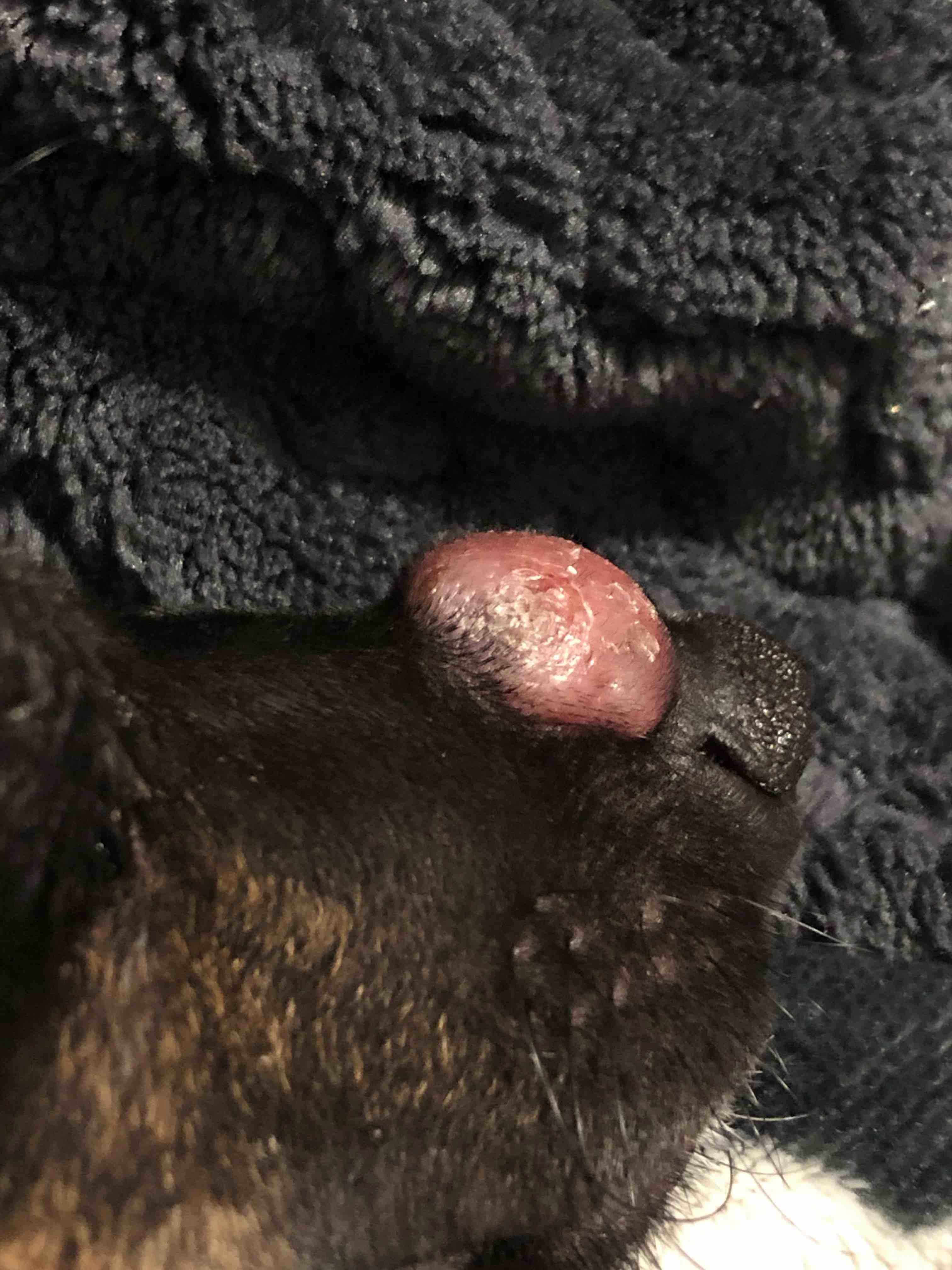 Question details sensitive content