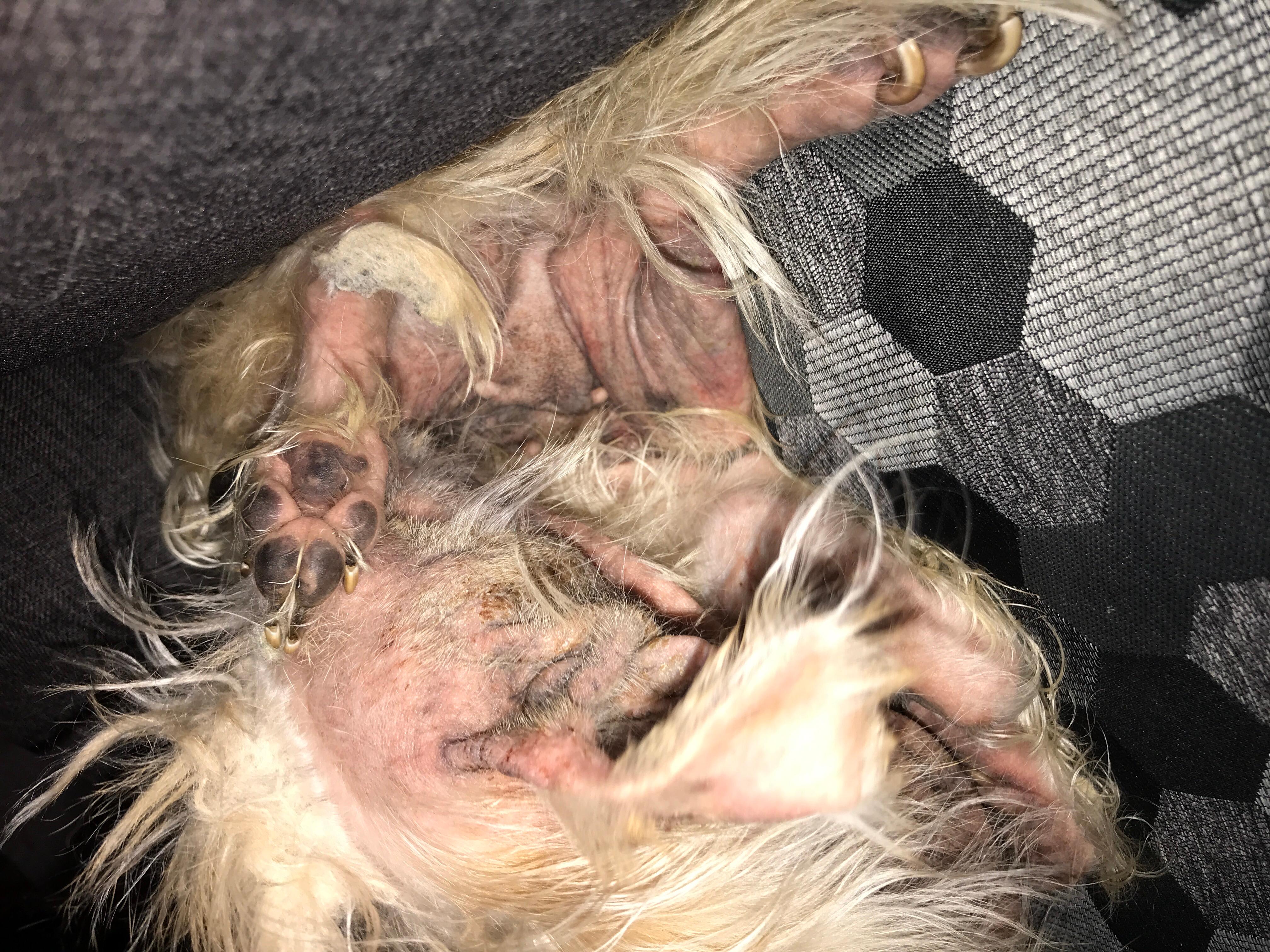 Question details sensitive content