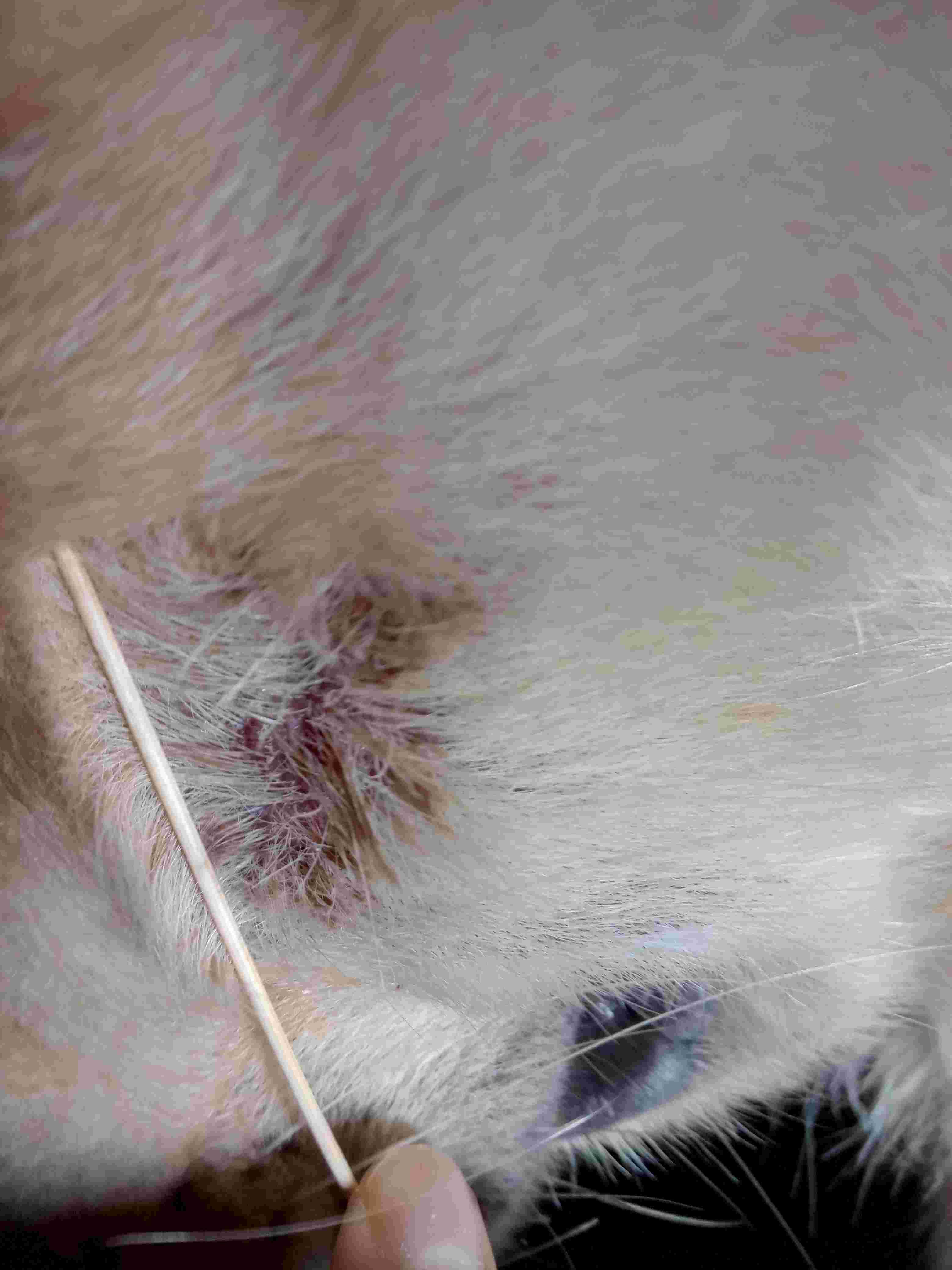 Question details sensitive content