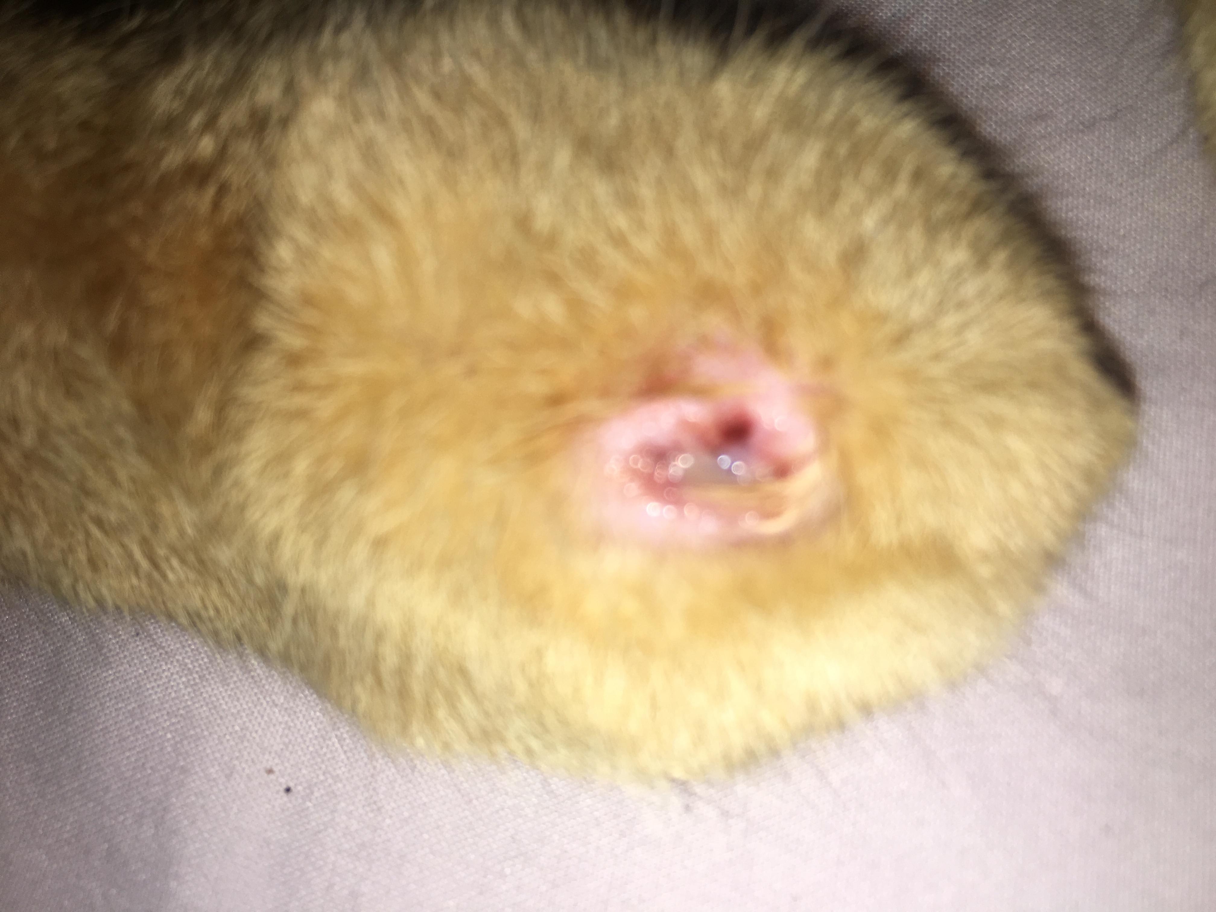 Question details sensitive content