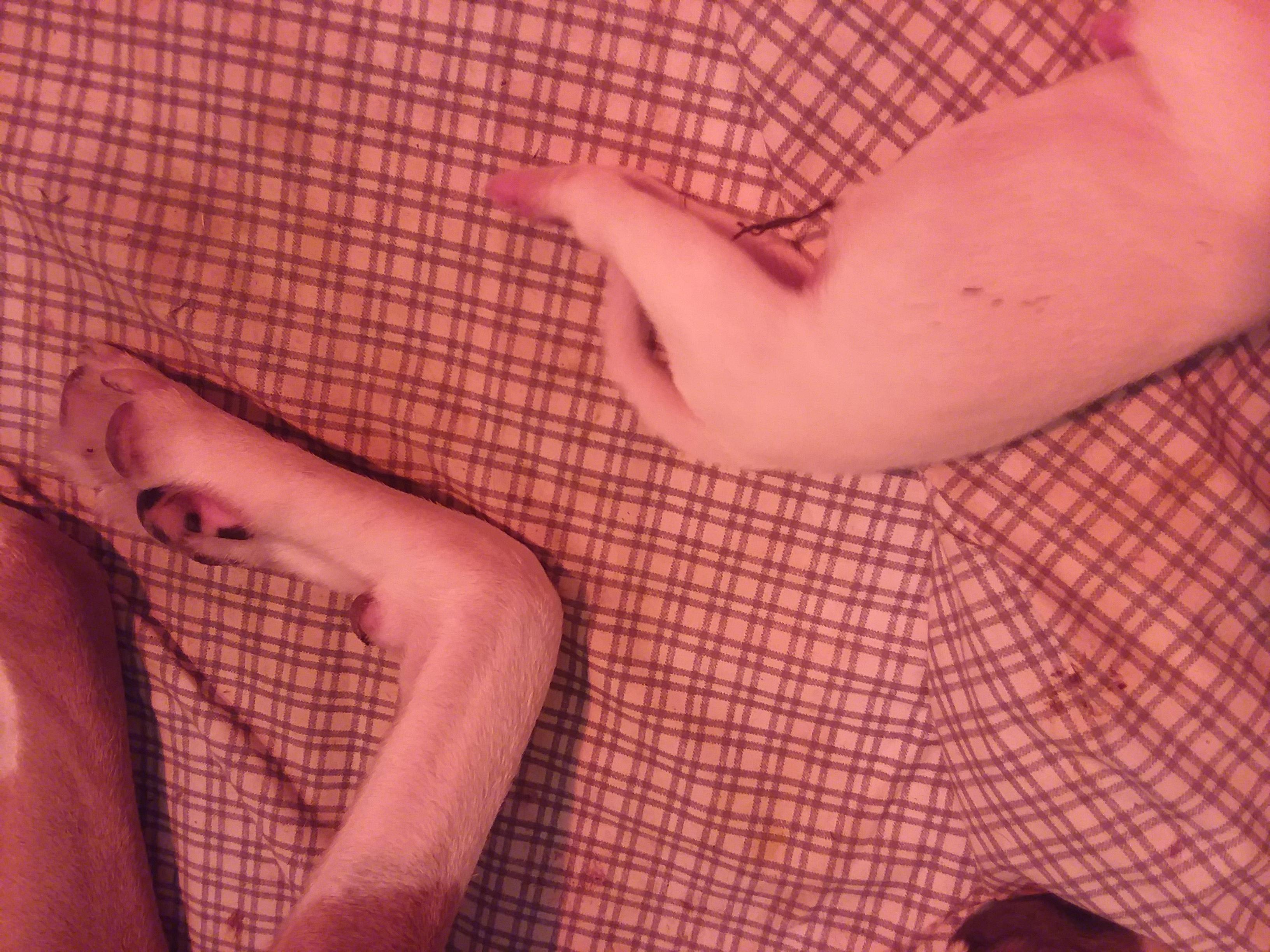 Question details sensitive content