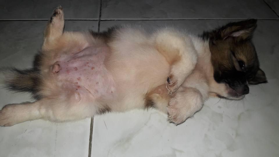 Question details sensitive content