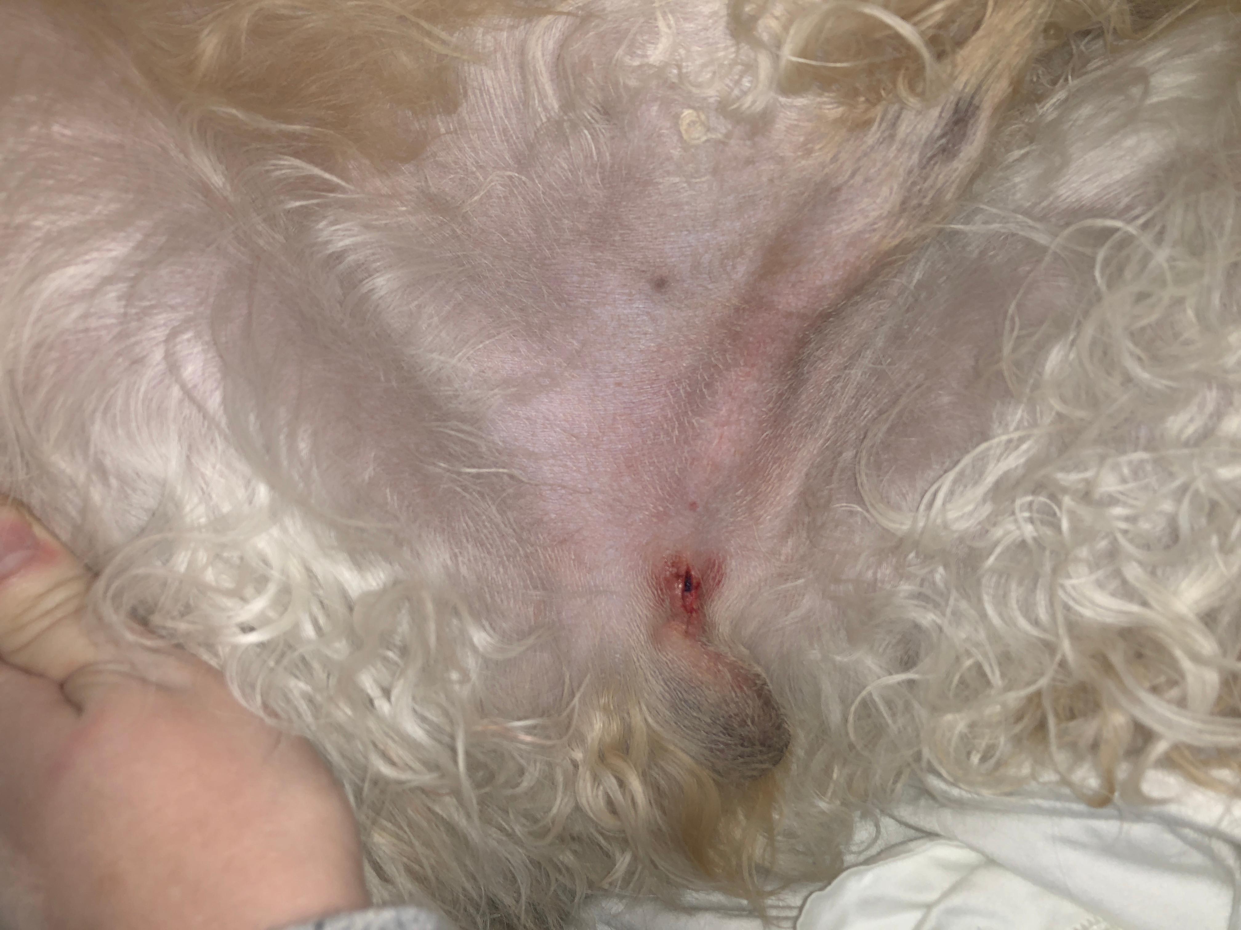 Question details sensitive content