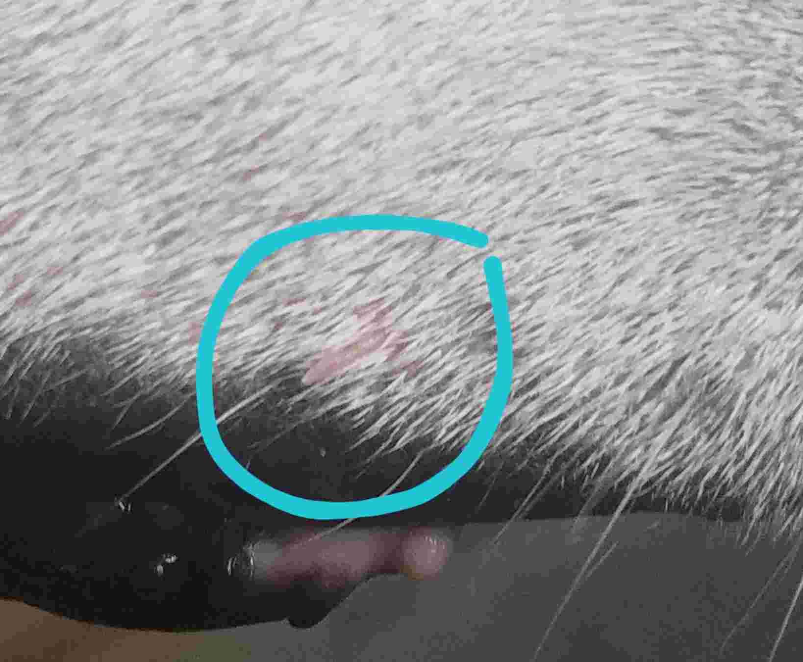 Question details sensitive content