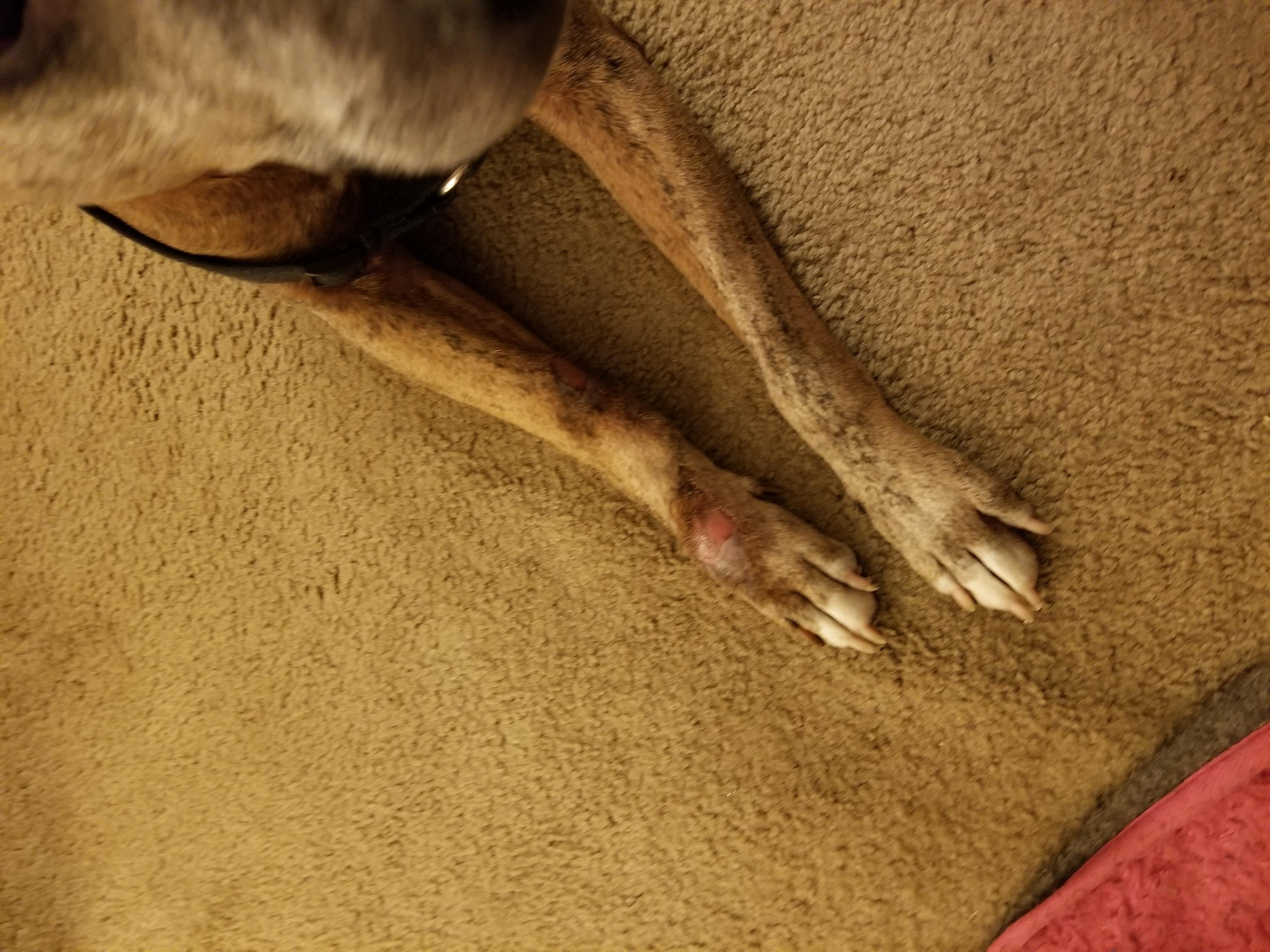 Question details sensitive content