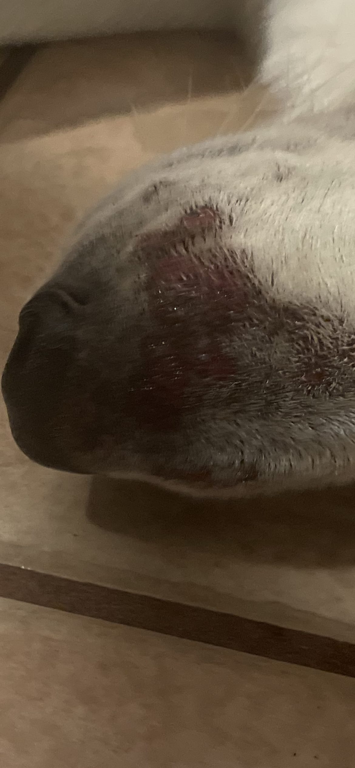 Question details sensitive content