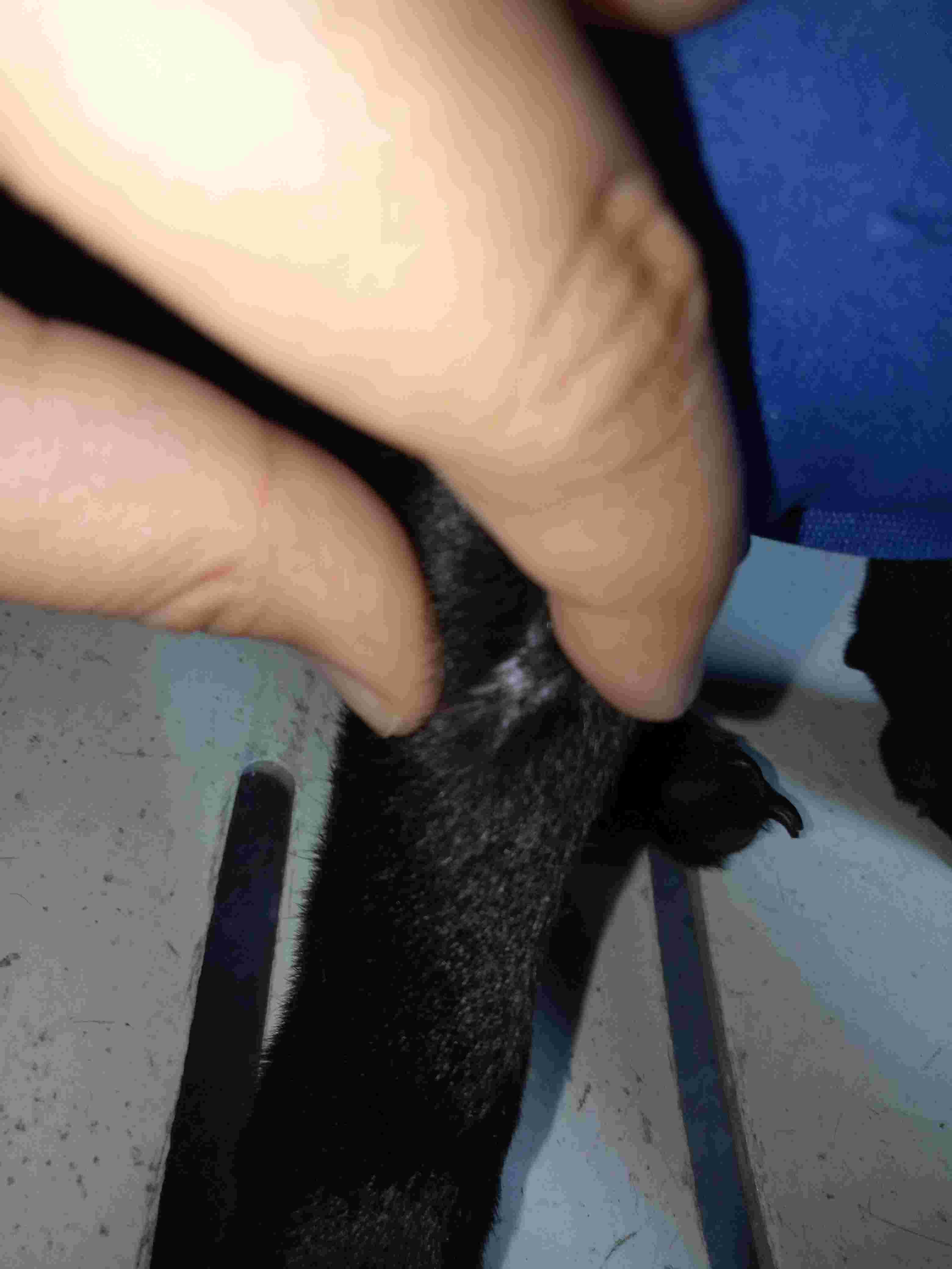 Question details sensitive content