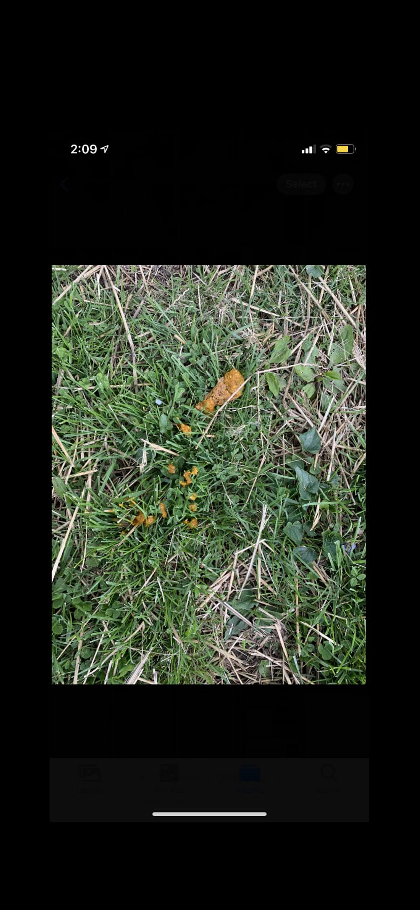 Question details sensitive content