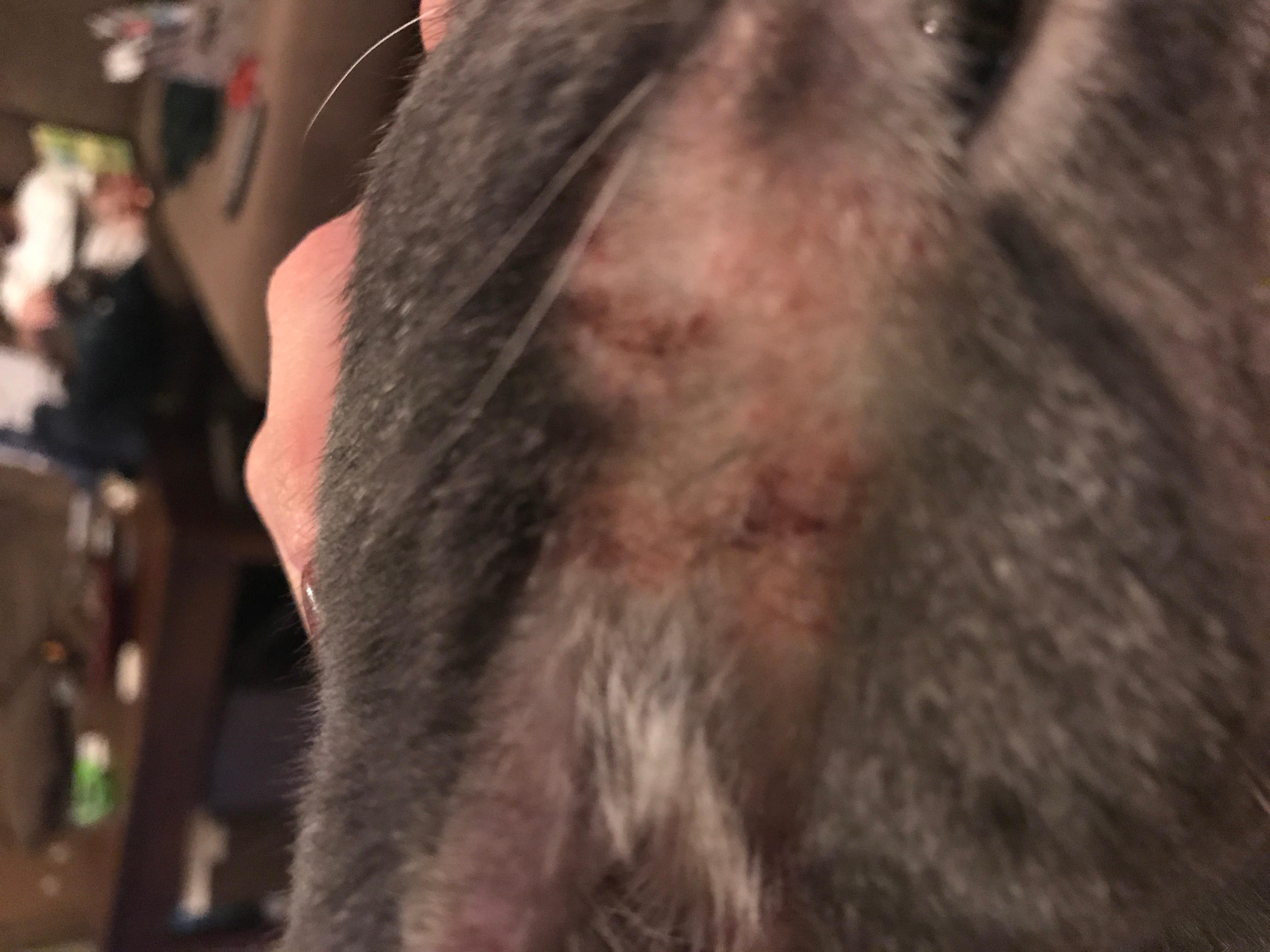 Question details sensitive content