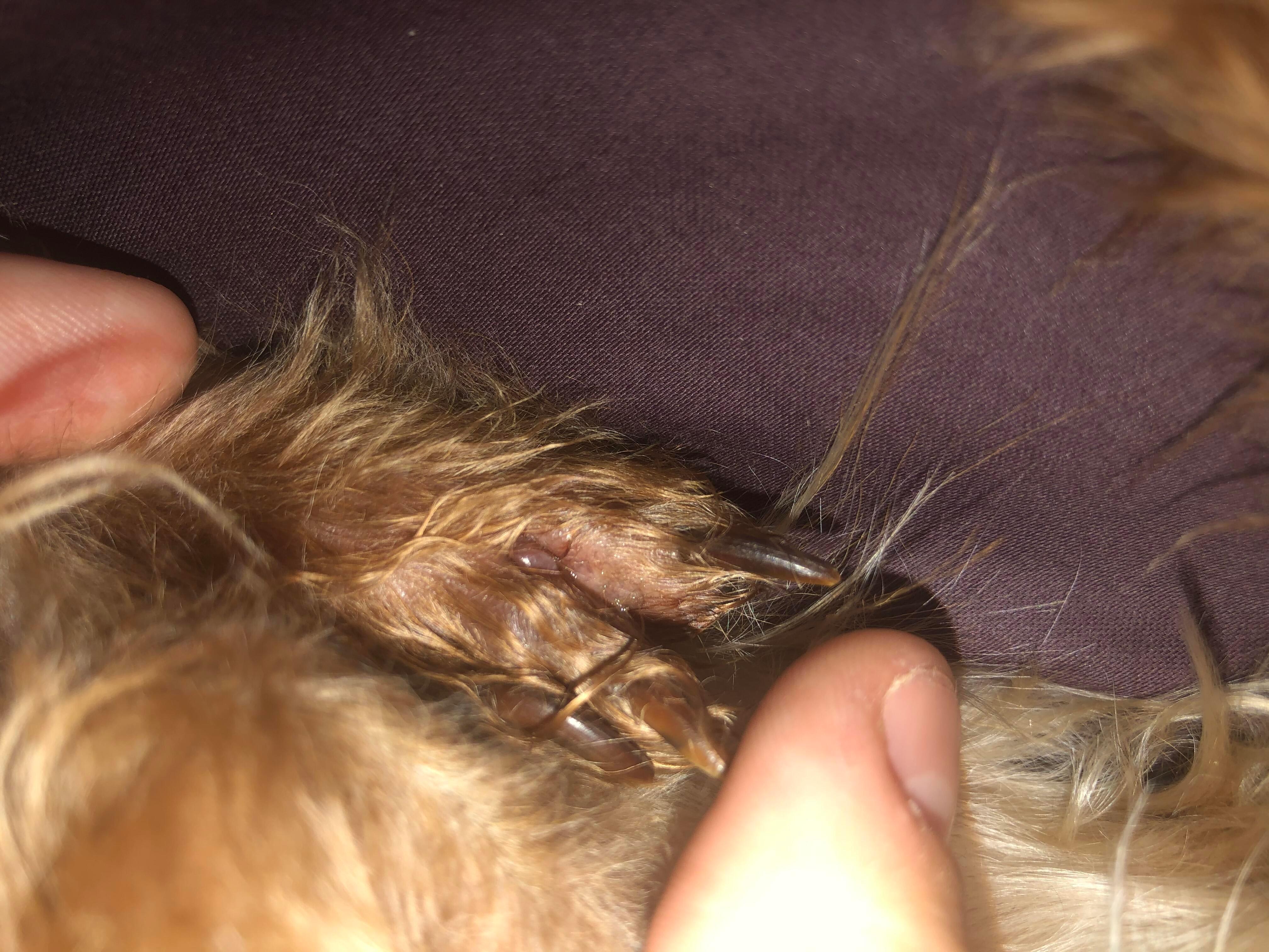 Question details sensitive content