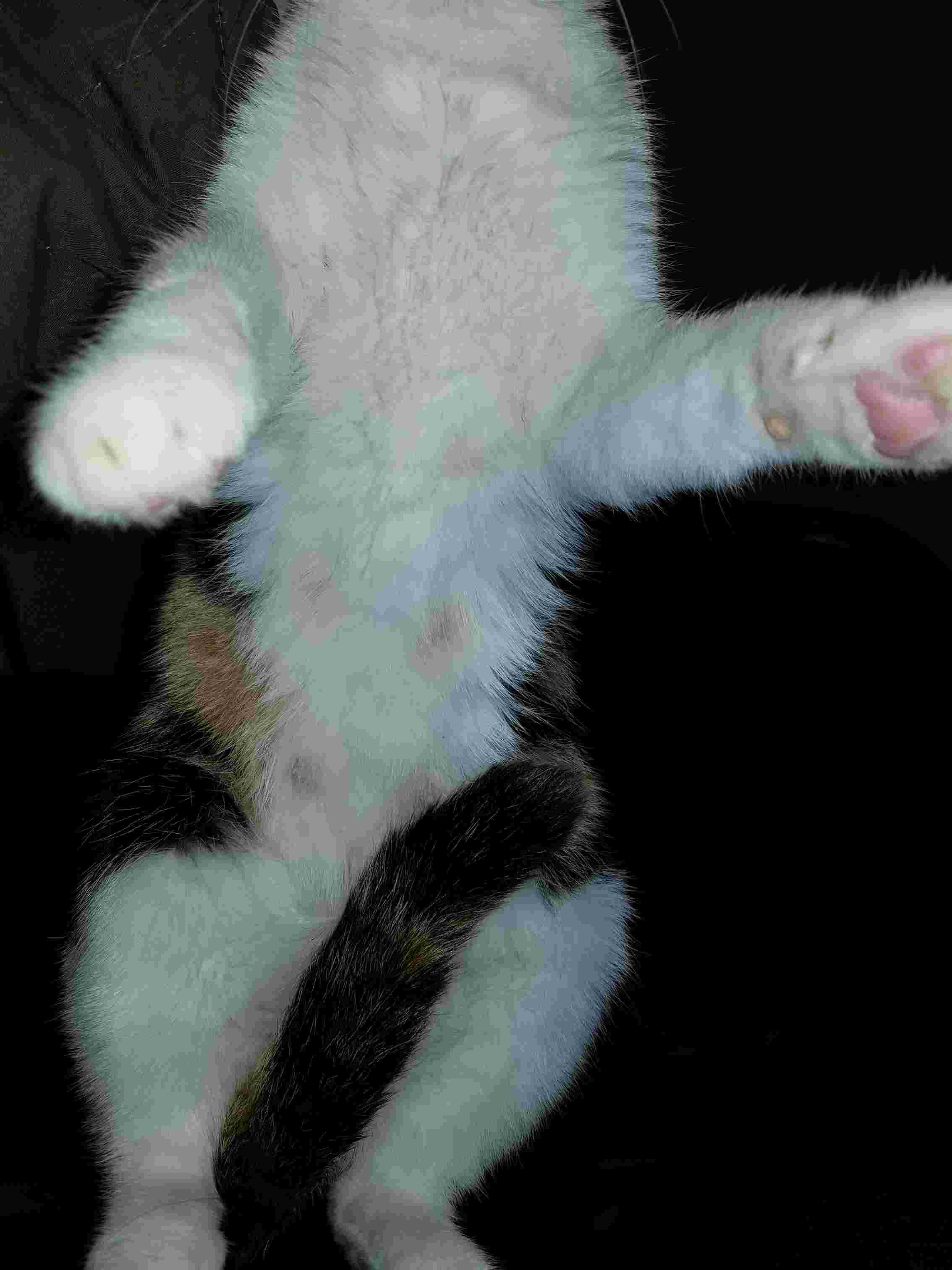 Question details sensitive content