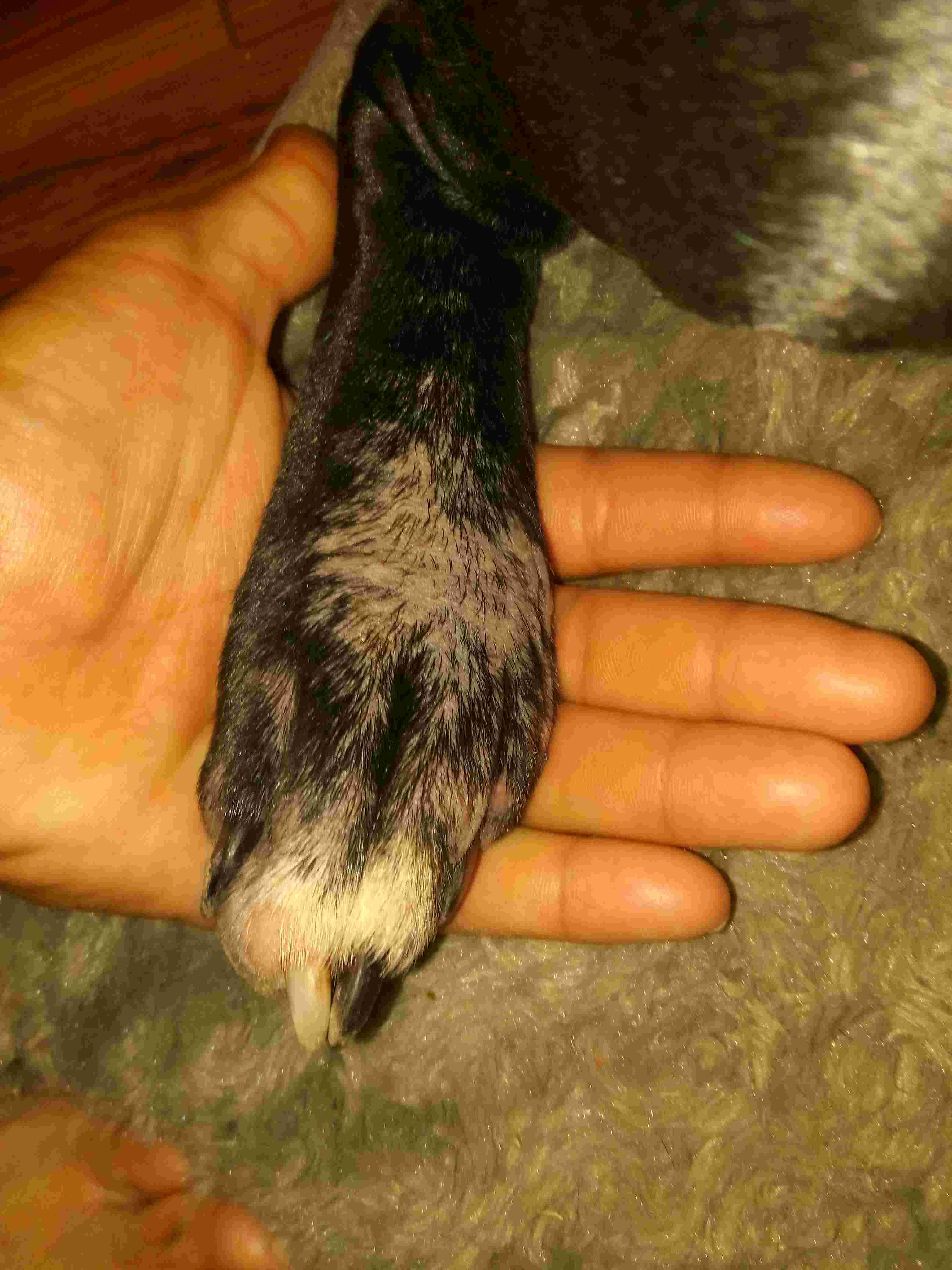 Question details sensitive content