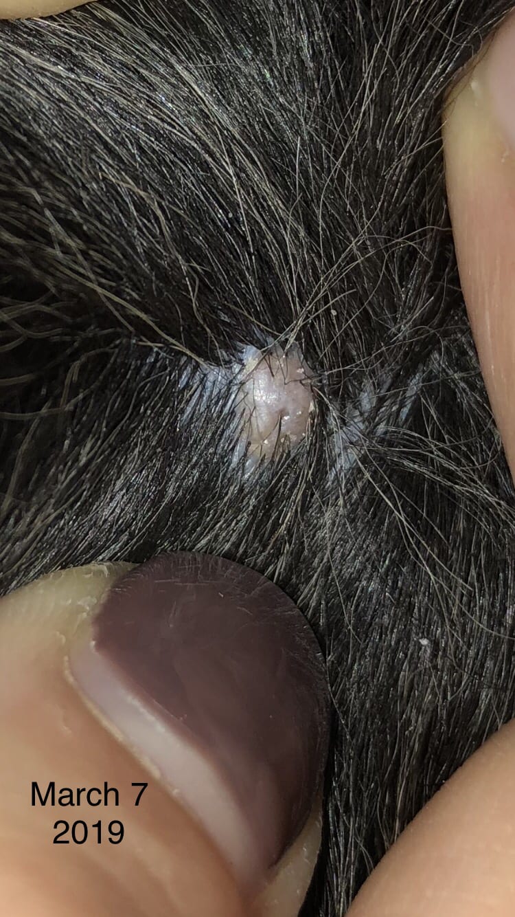 Question details sensitive content